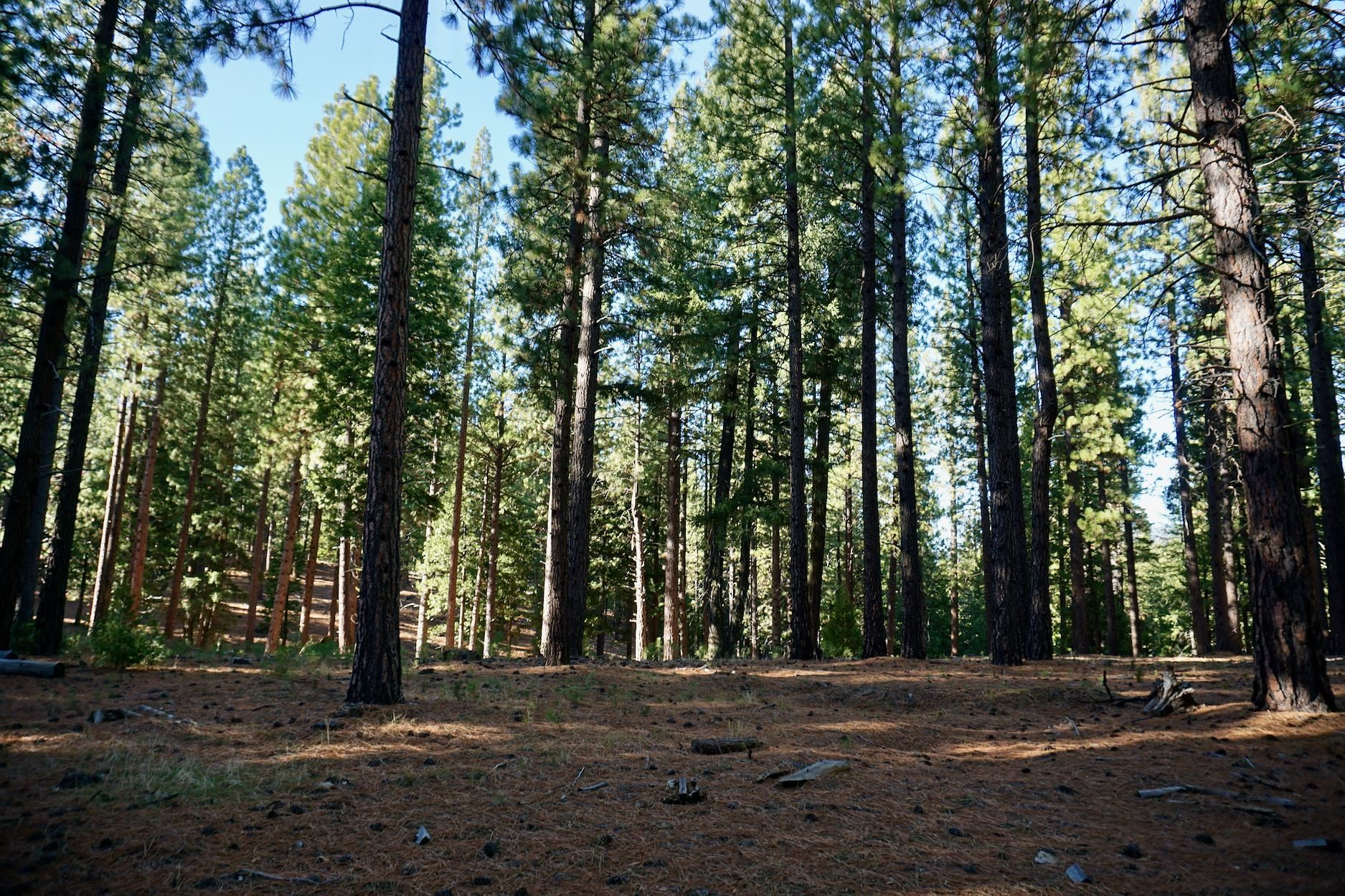 1899 Red Fox Road
