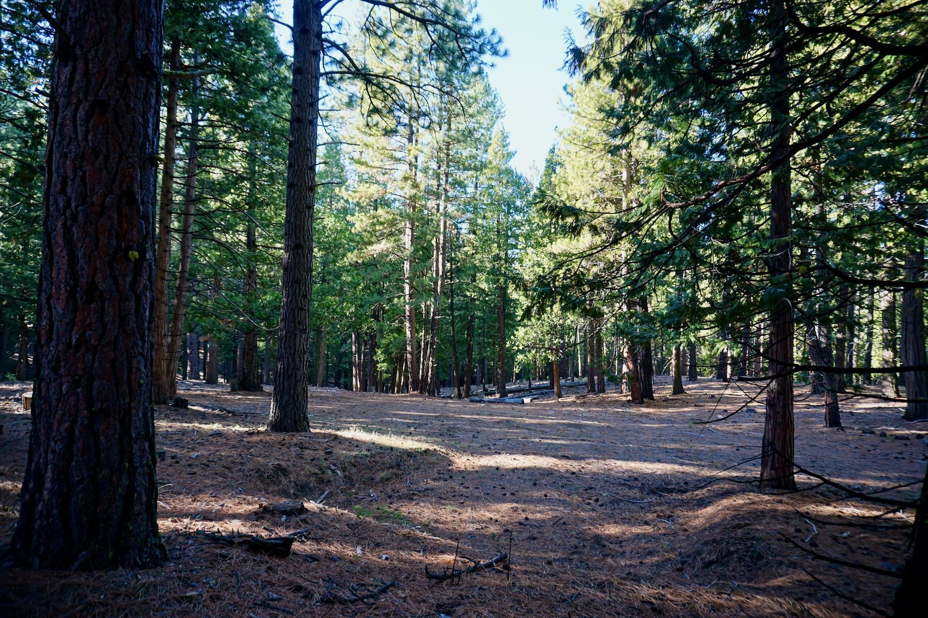 1899 Red Fox Road