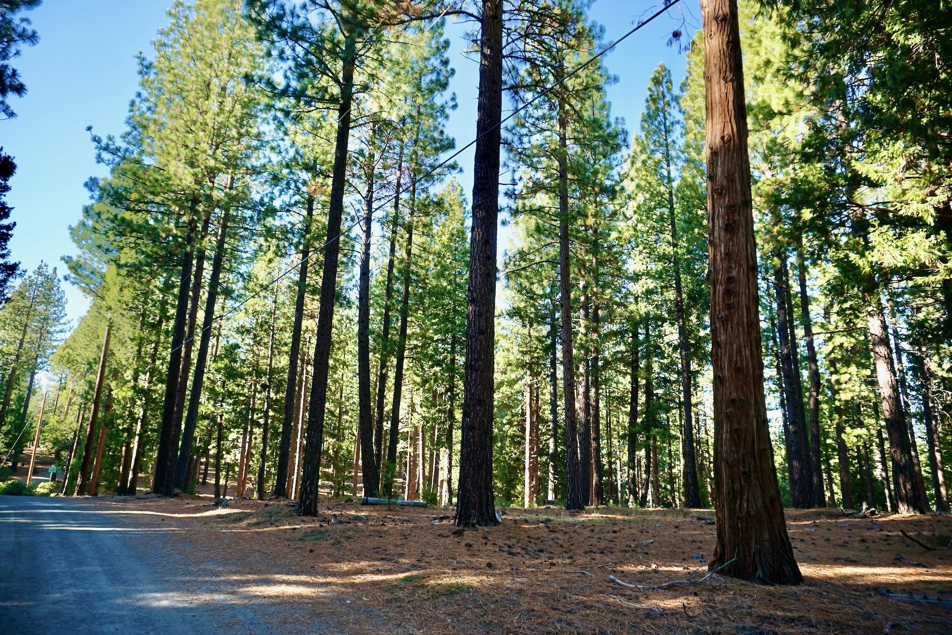1899 Red Fox Road