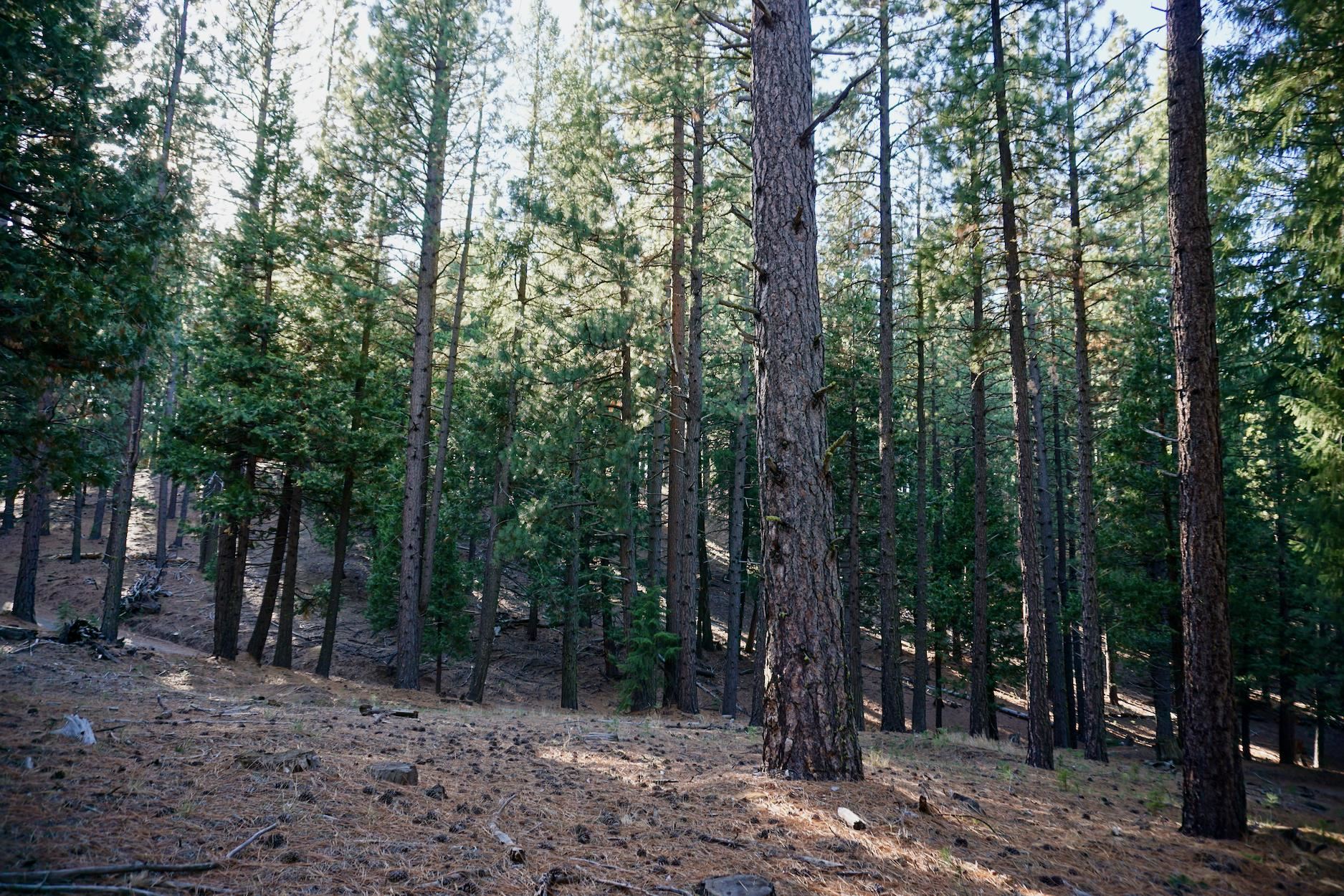 1899 Red Fox Road