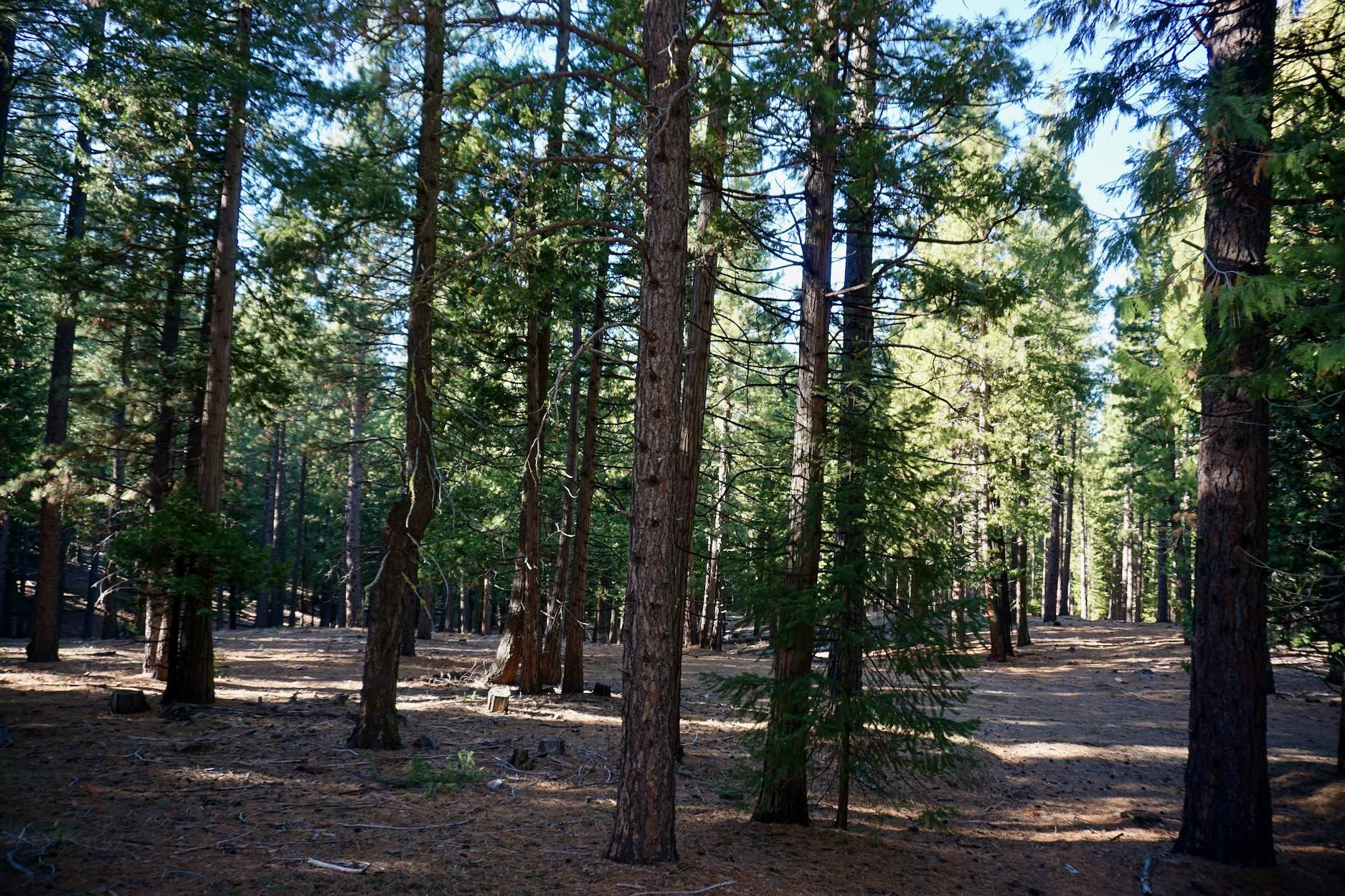 1899 Red Fox Road