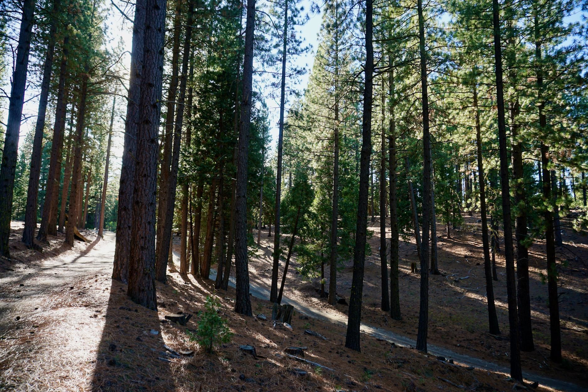 1899 Red Fox Road