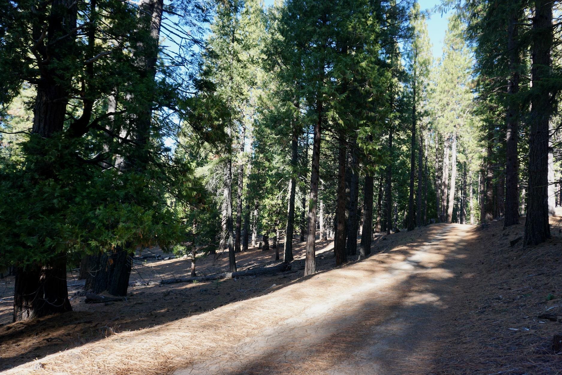 1899 Red Fox Road