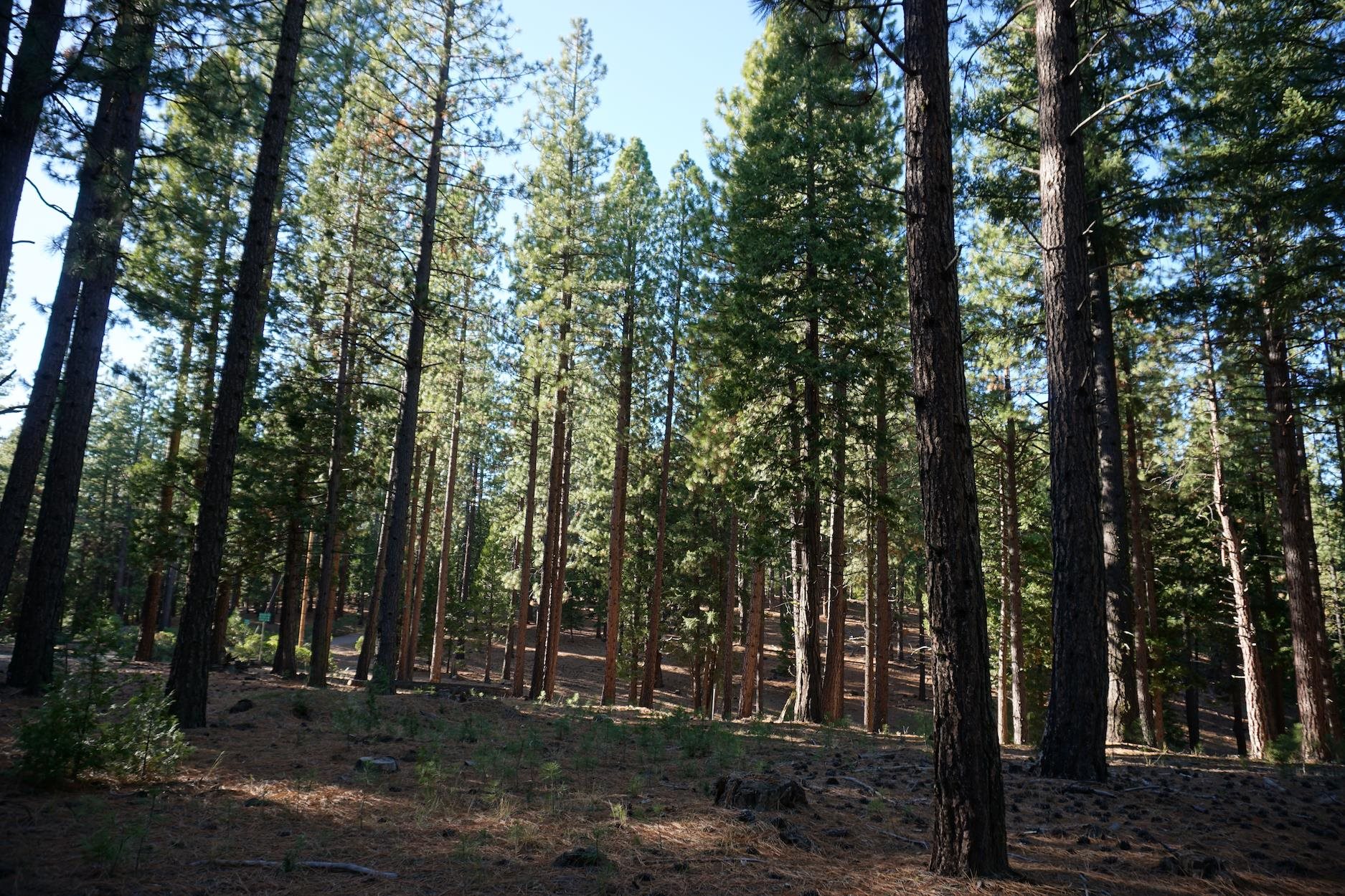 1899 Red Fox Road