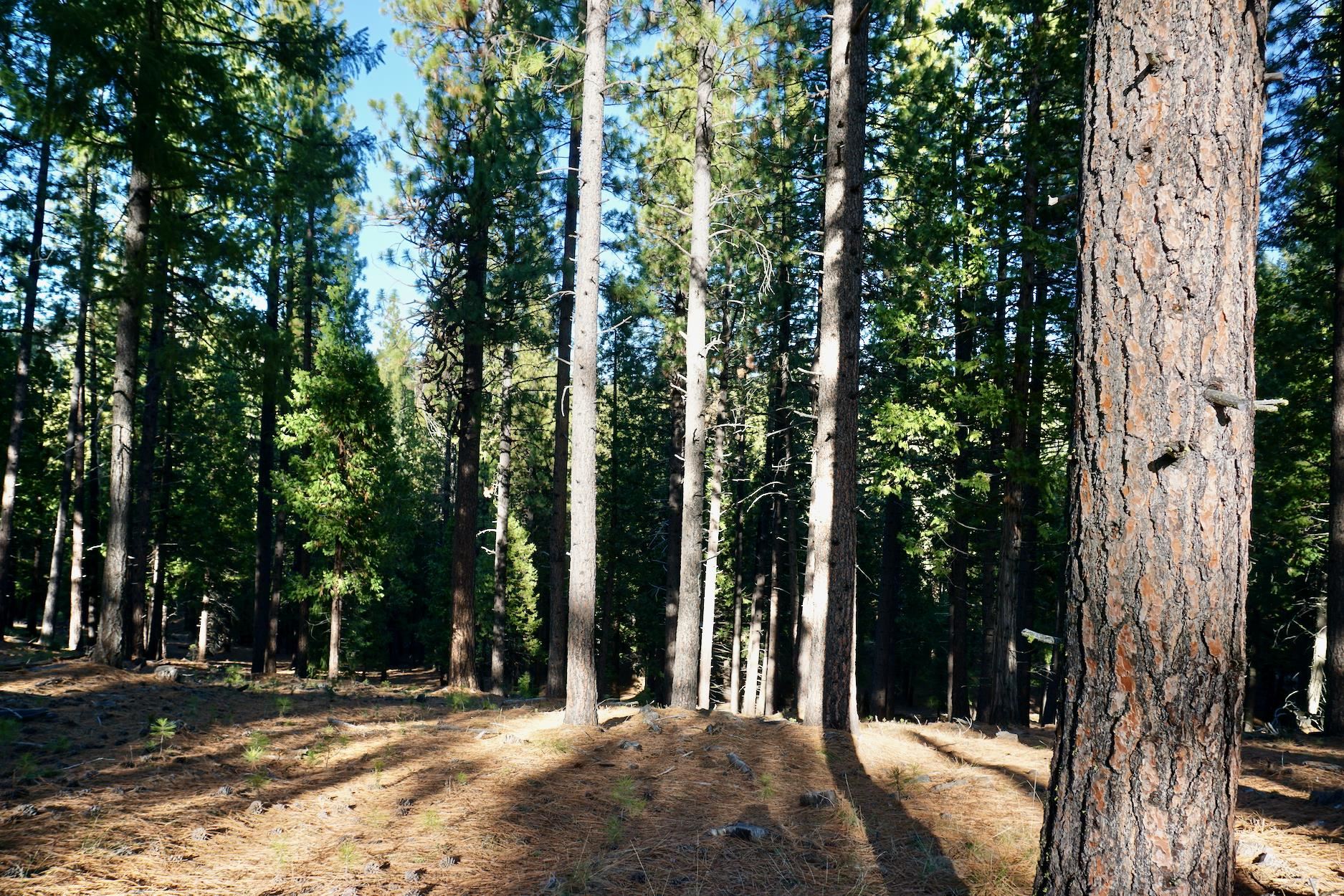 1899 Red Fox Road
