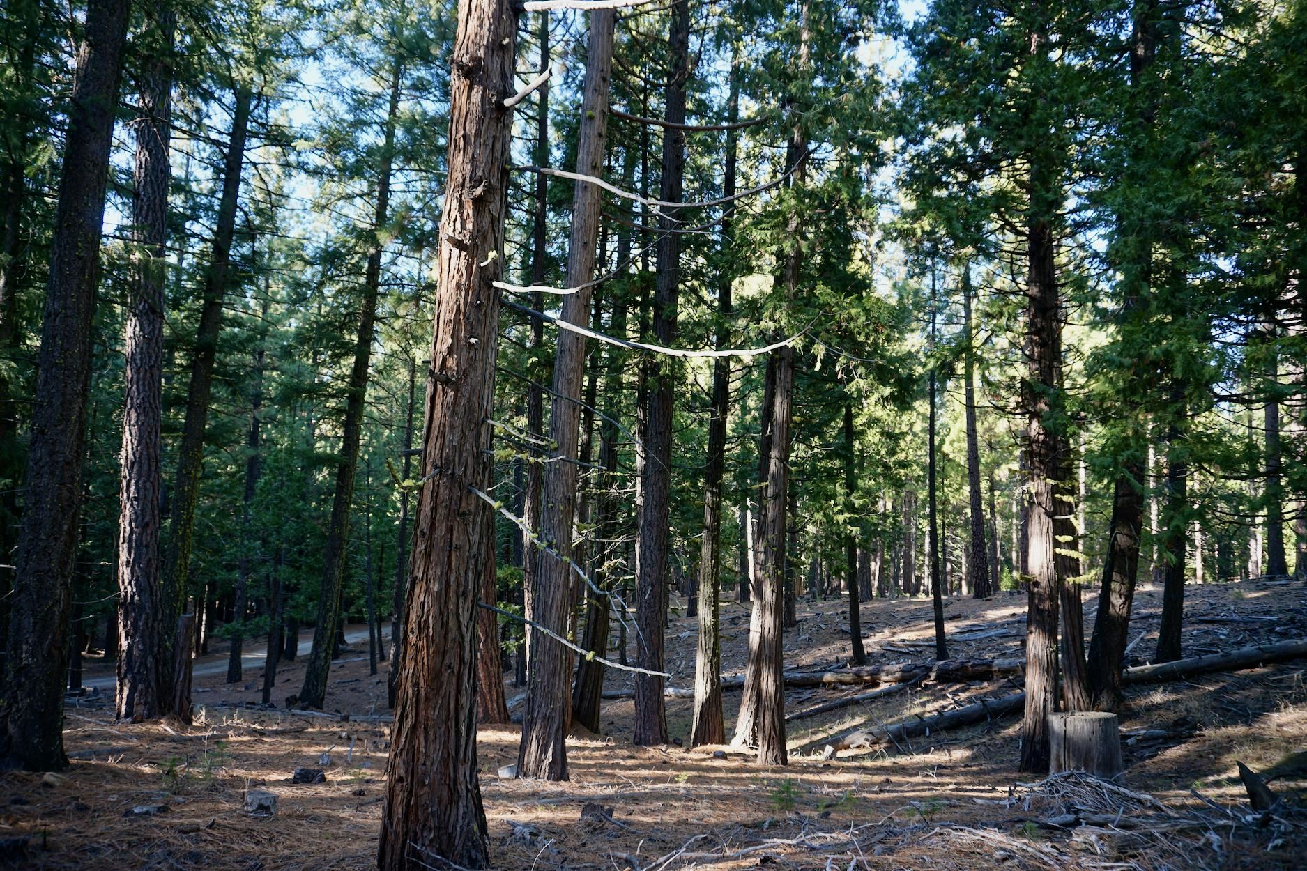 1899 Red Fox Road