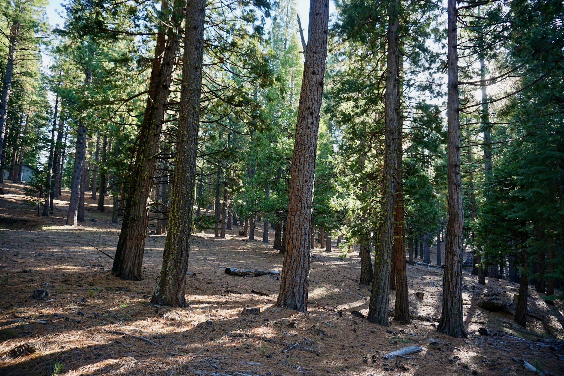 1899 Red Fox Road