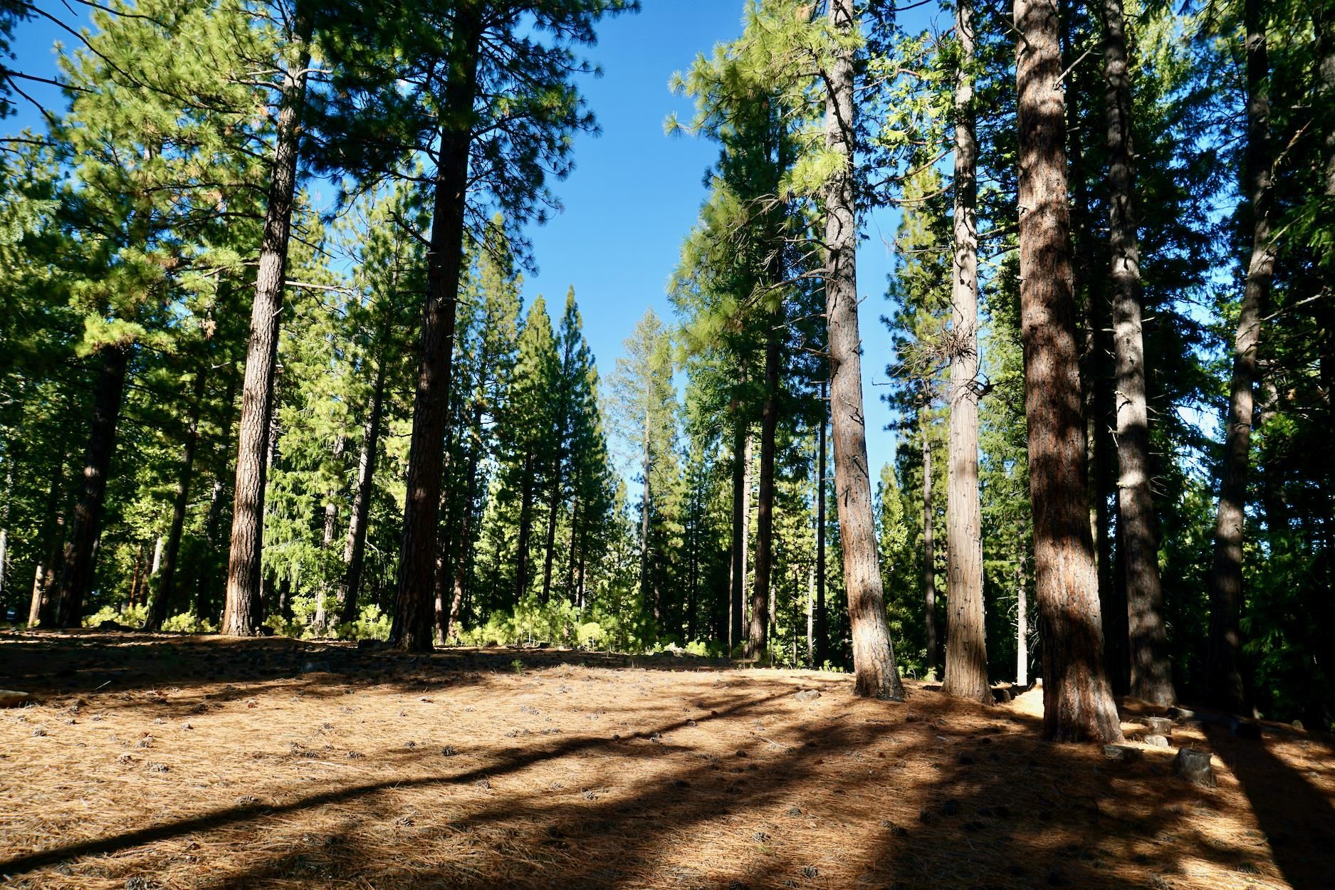 1899 Red Fox Road