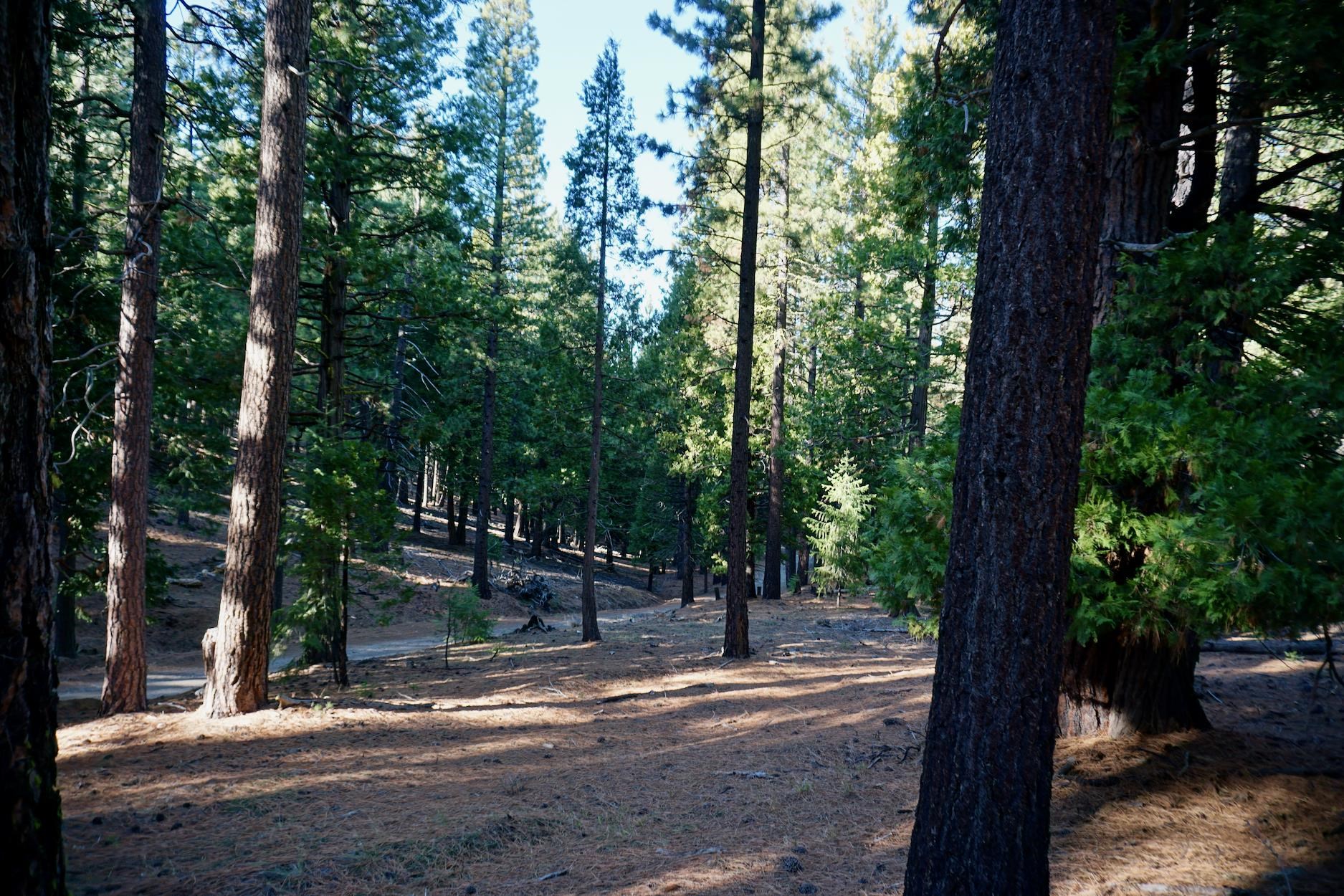1899 Red Fox Road