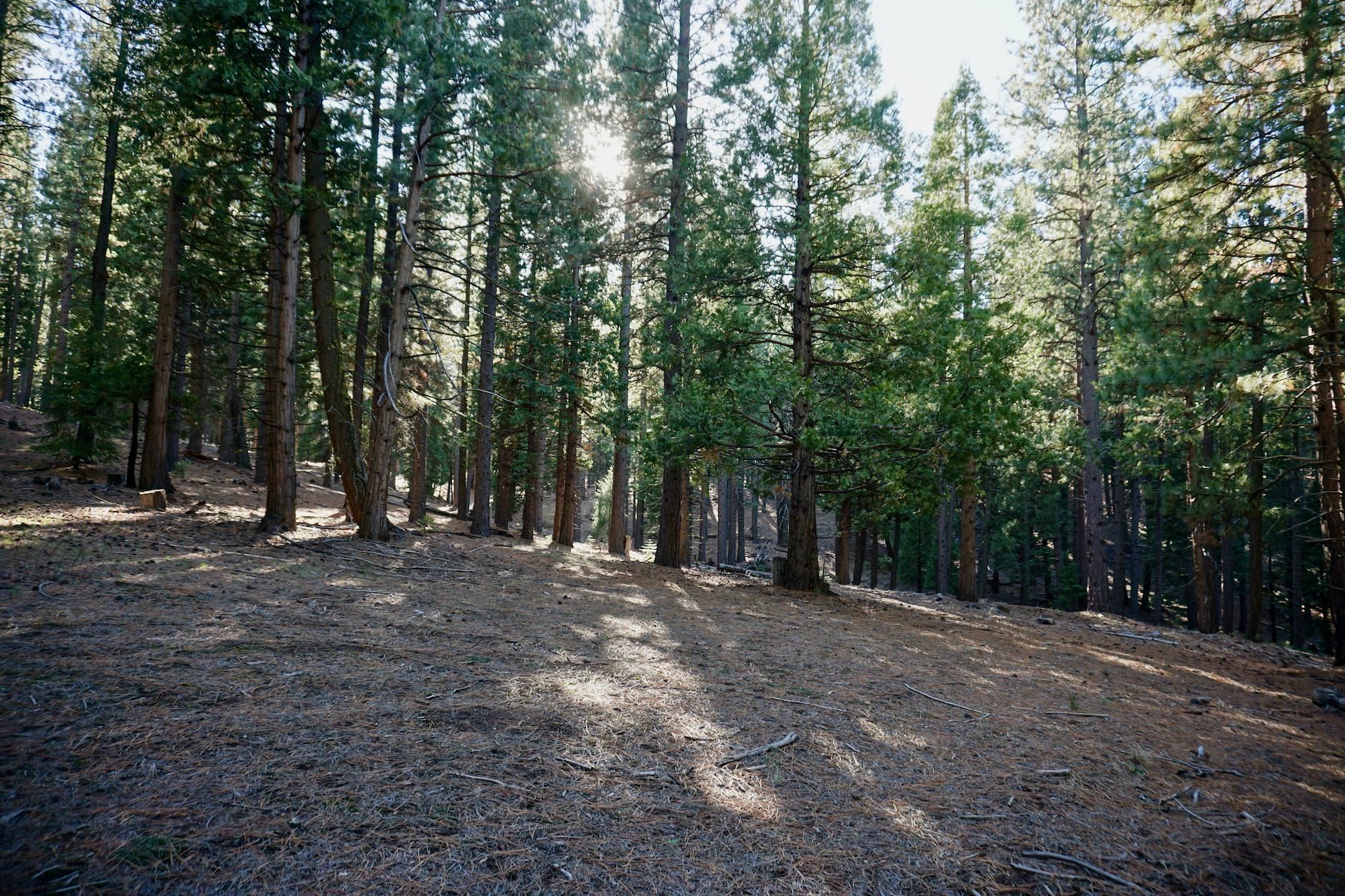 1899 Red Fox Road