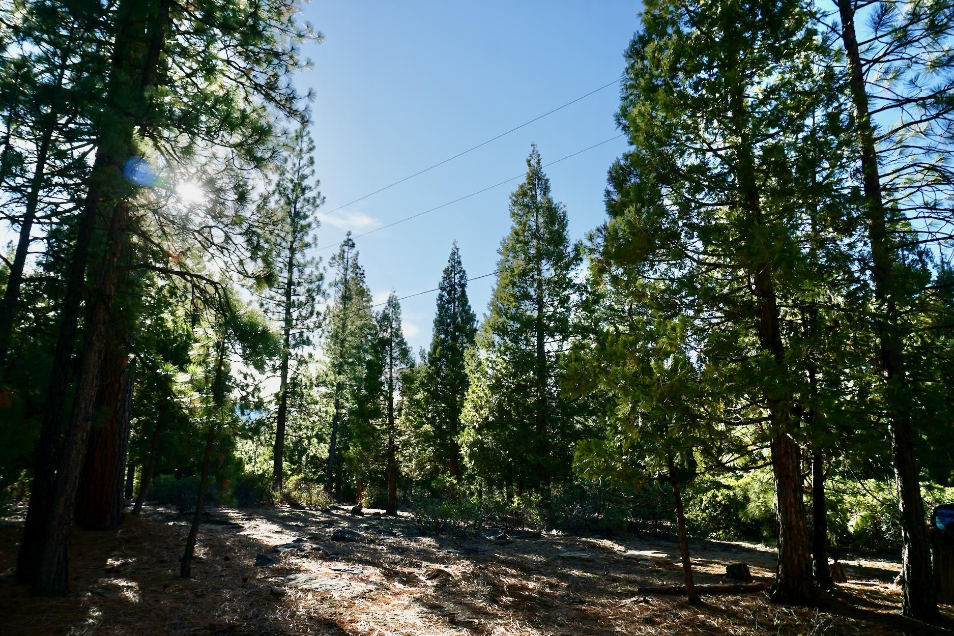 1899 Red Fox Road