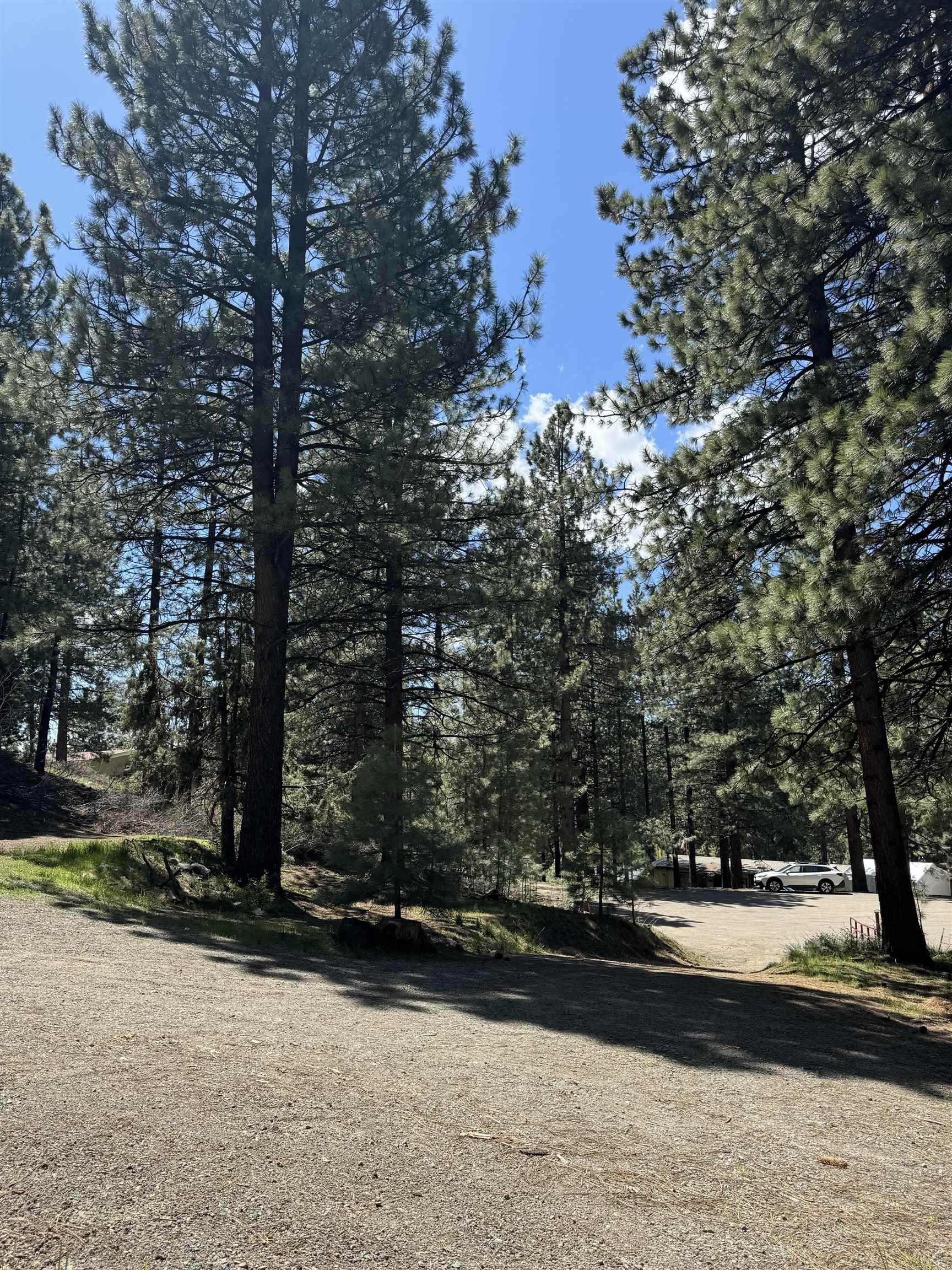 1594 Sierra Court