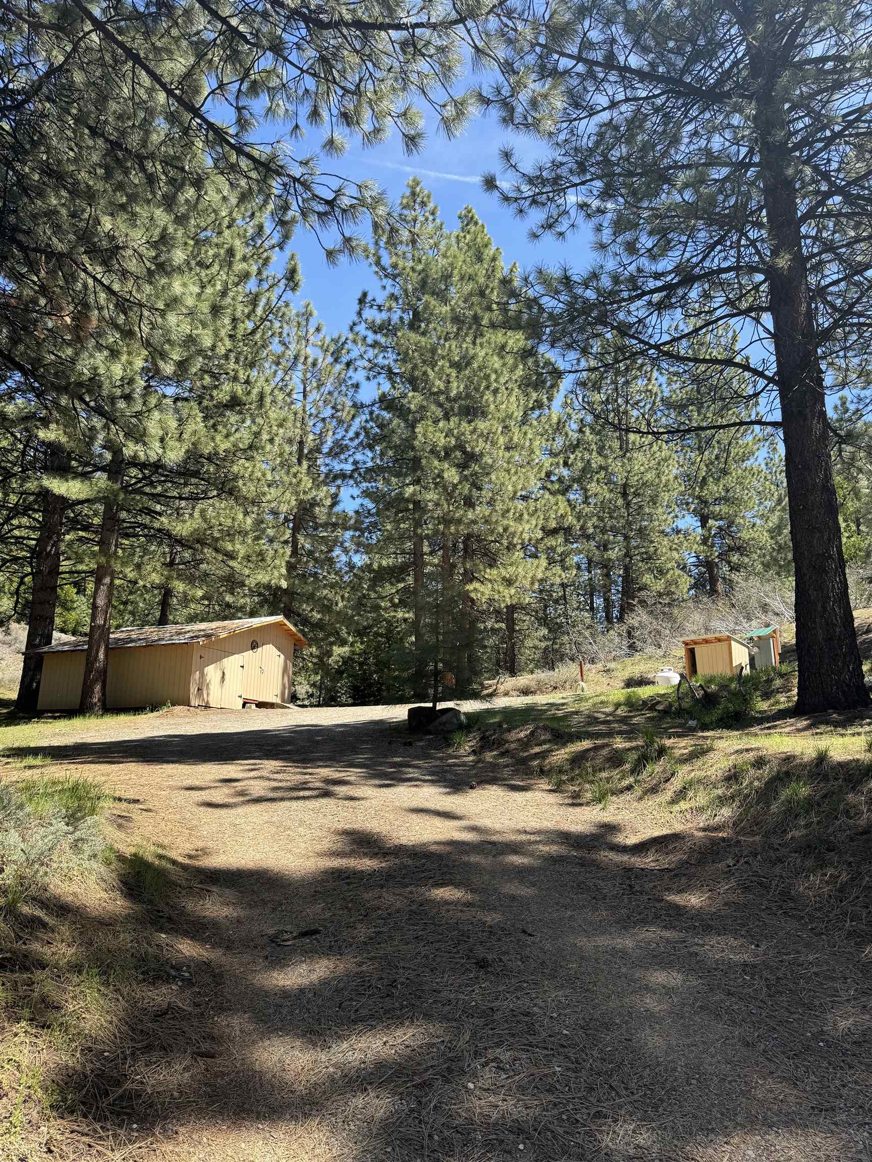 1594 Sierra Court