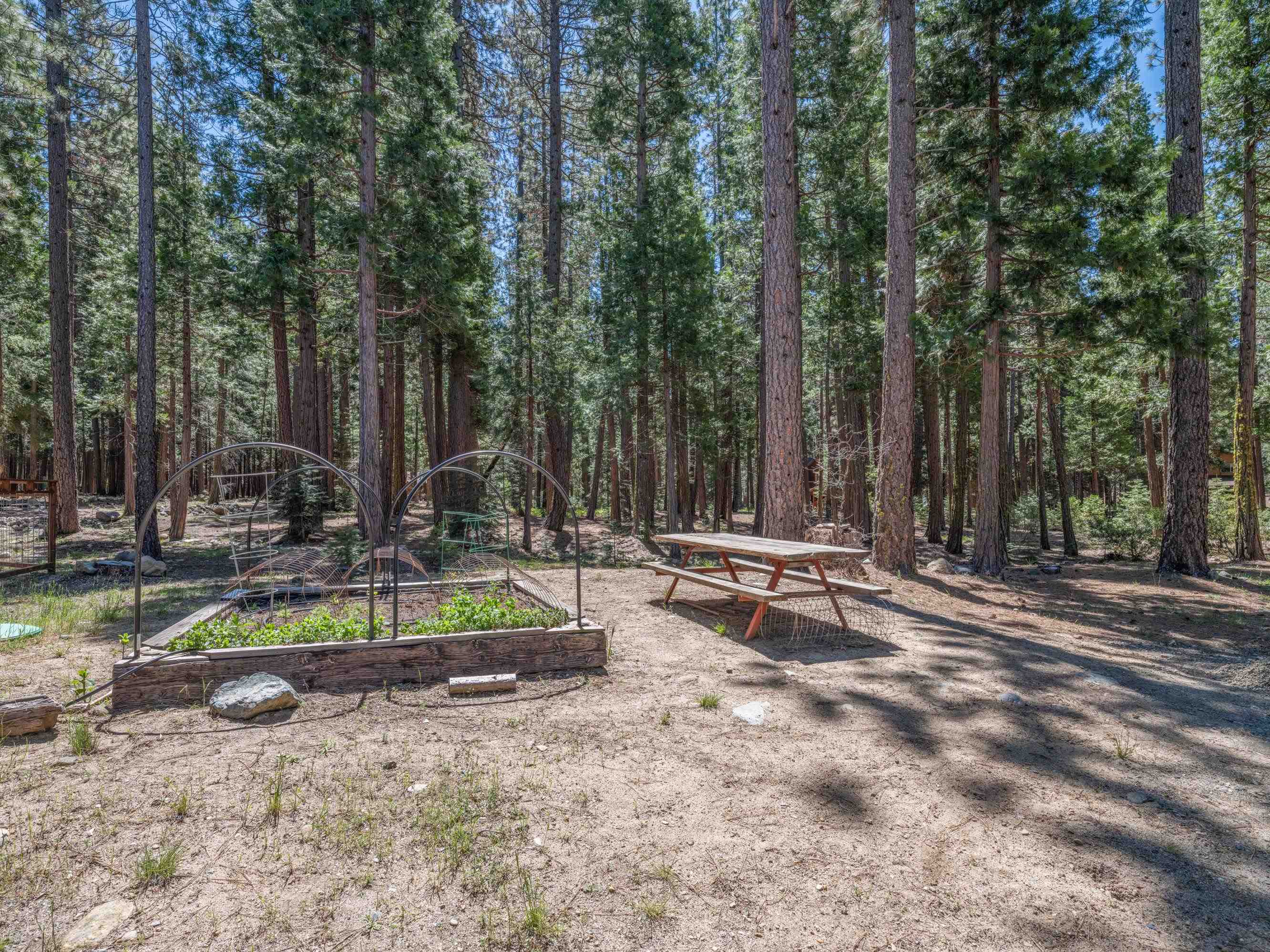 58622 Cedar Lane