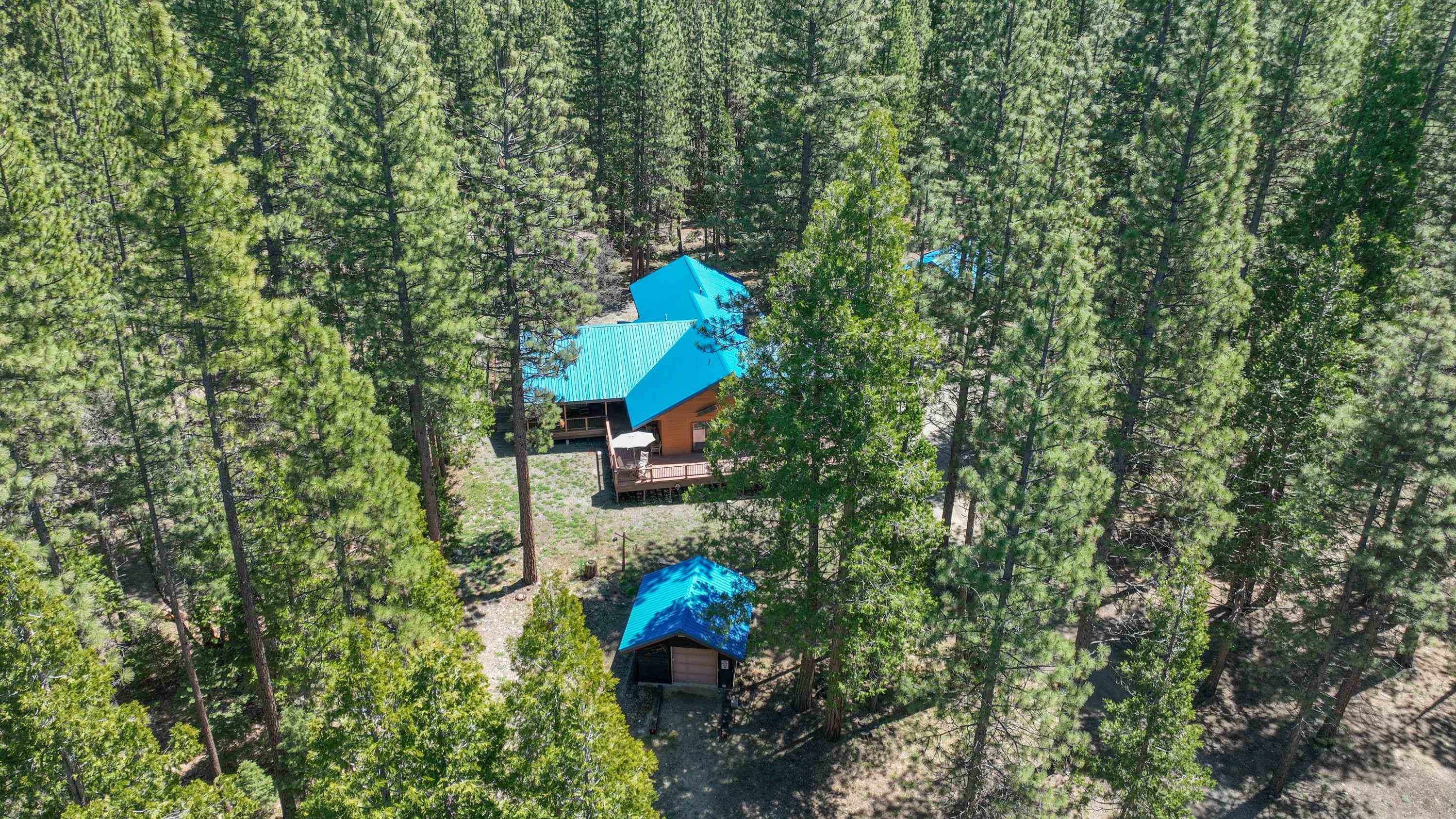 58622 Cedar Lane