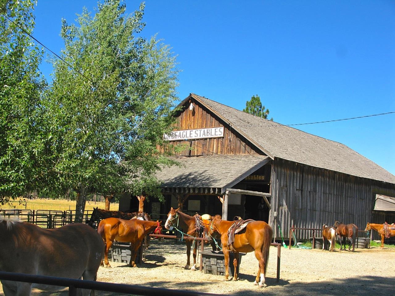 24 Korominu Trail