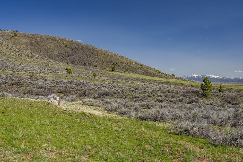 79939 Panoramic Road