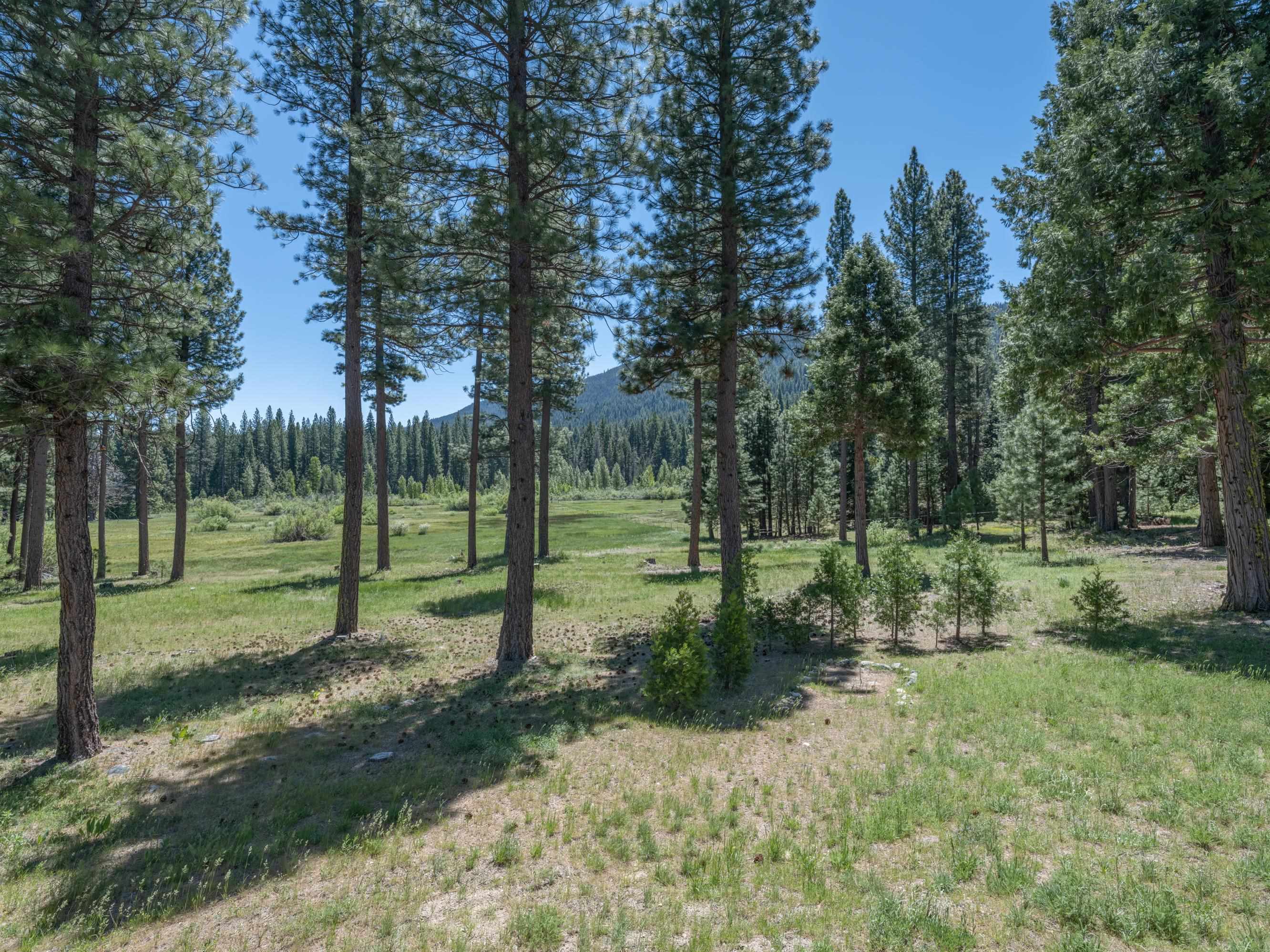 445 Boulder Drive