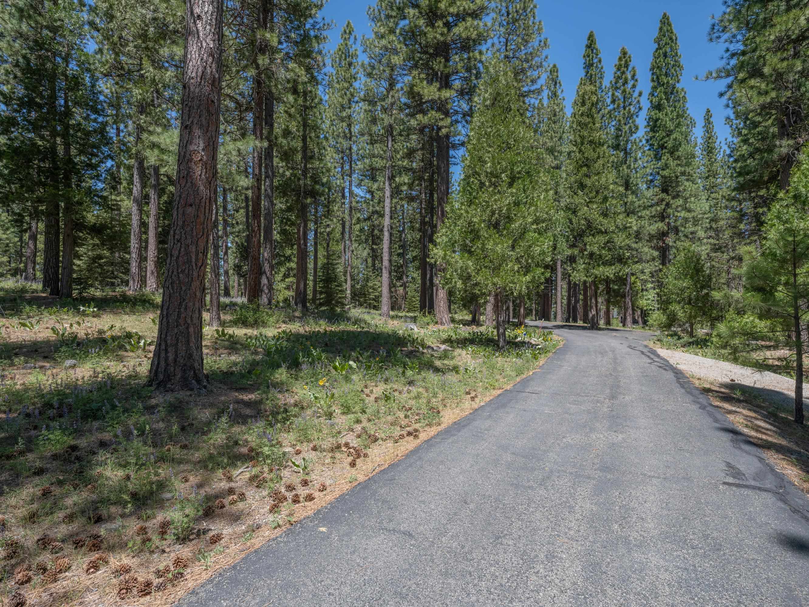 445 Boulder Drive