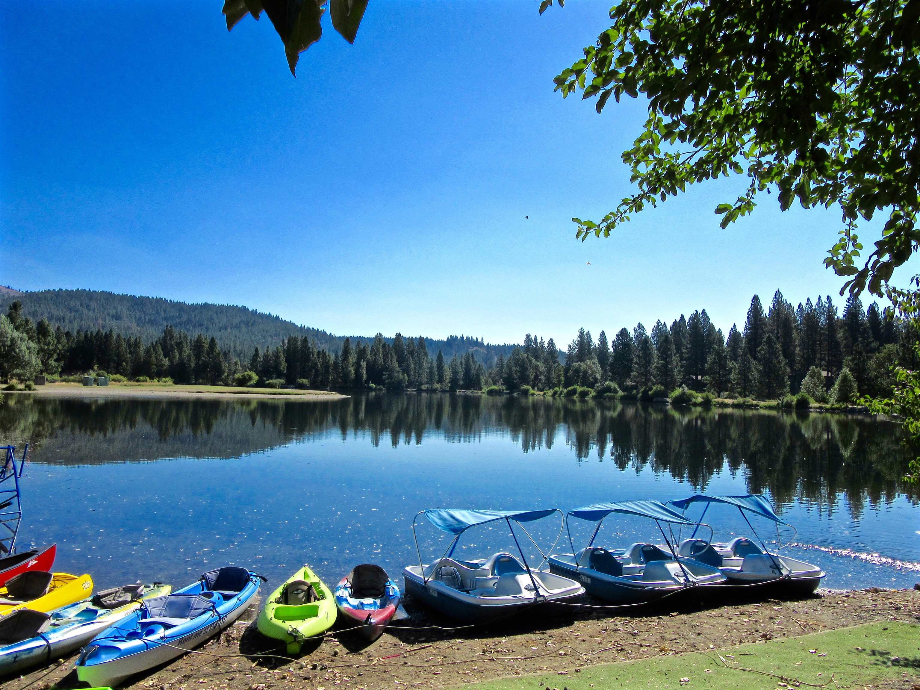 11 Shasta Trail