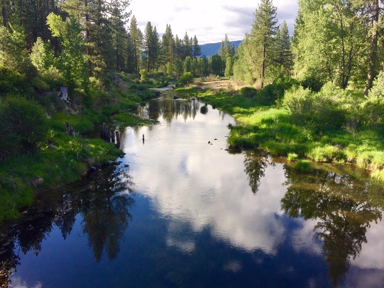 11 Shasta Trail