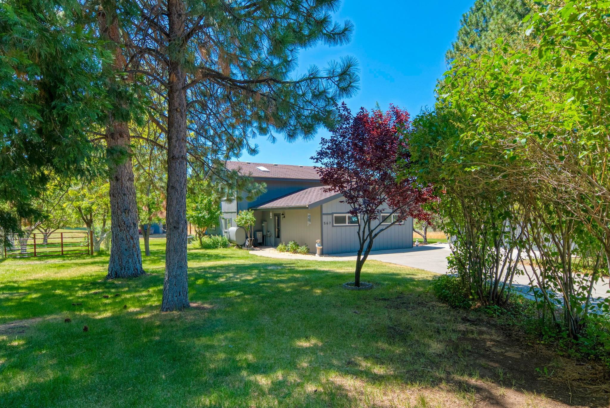 567 Longhorn Drive