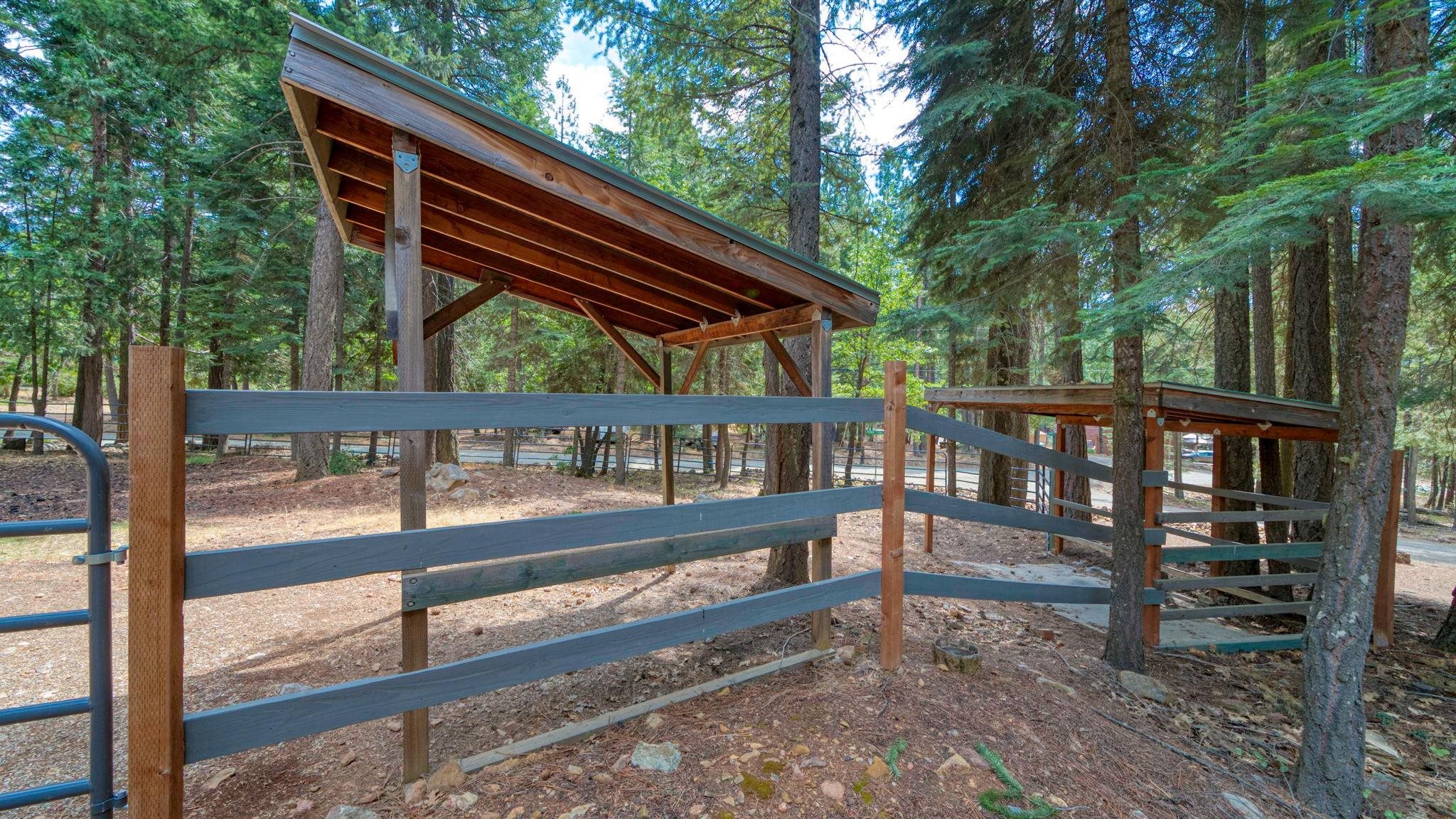 2392 Running Springs Lane