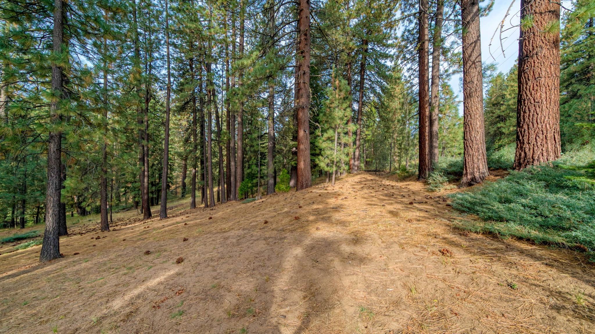 880 Grizzly Road