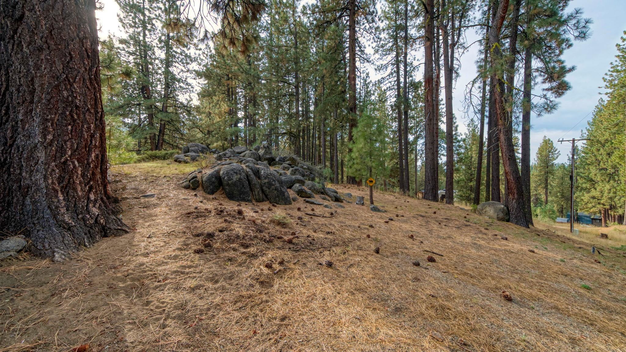 880 Grizzly Road
