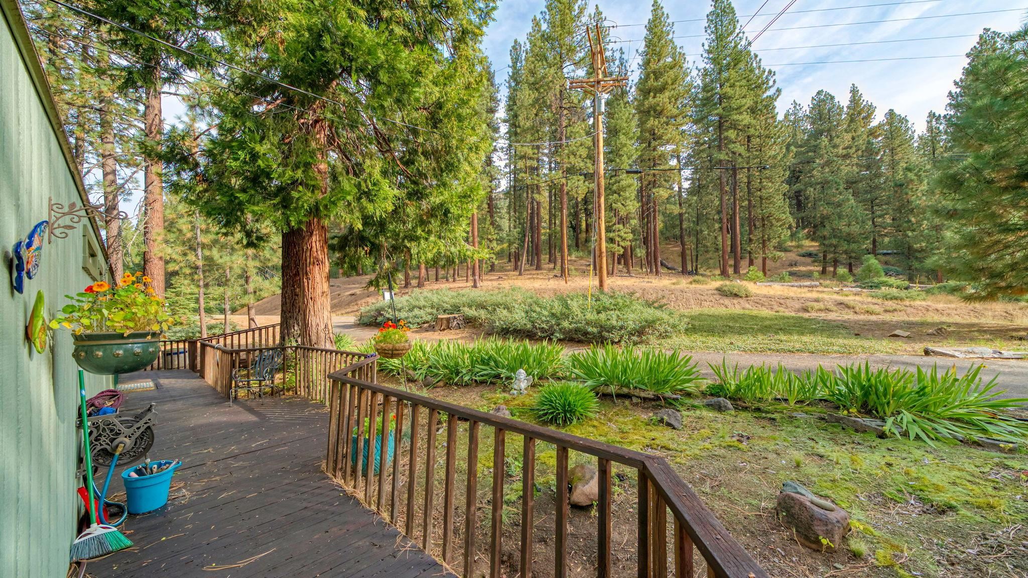 880 Grizzly Road