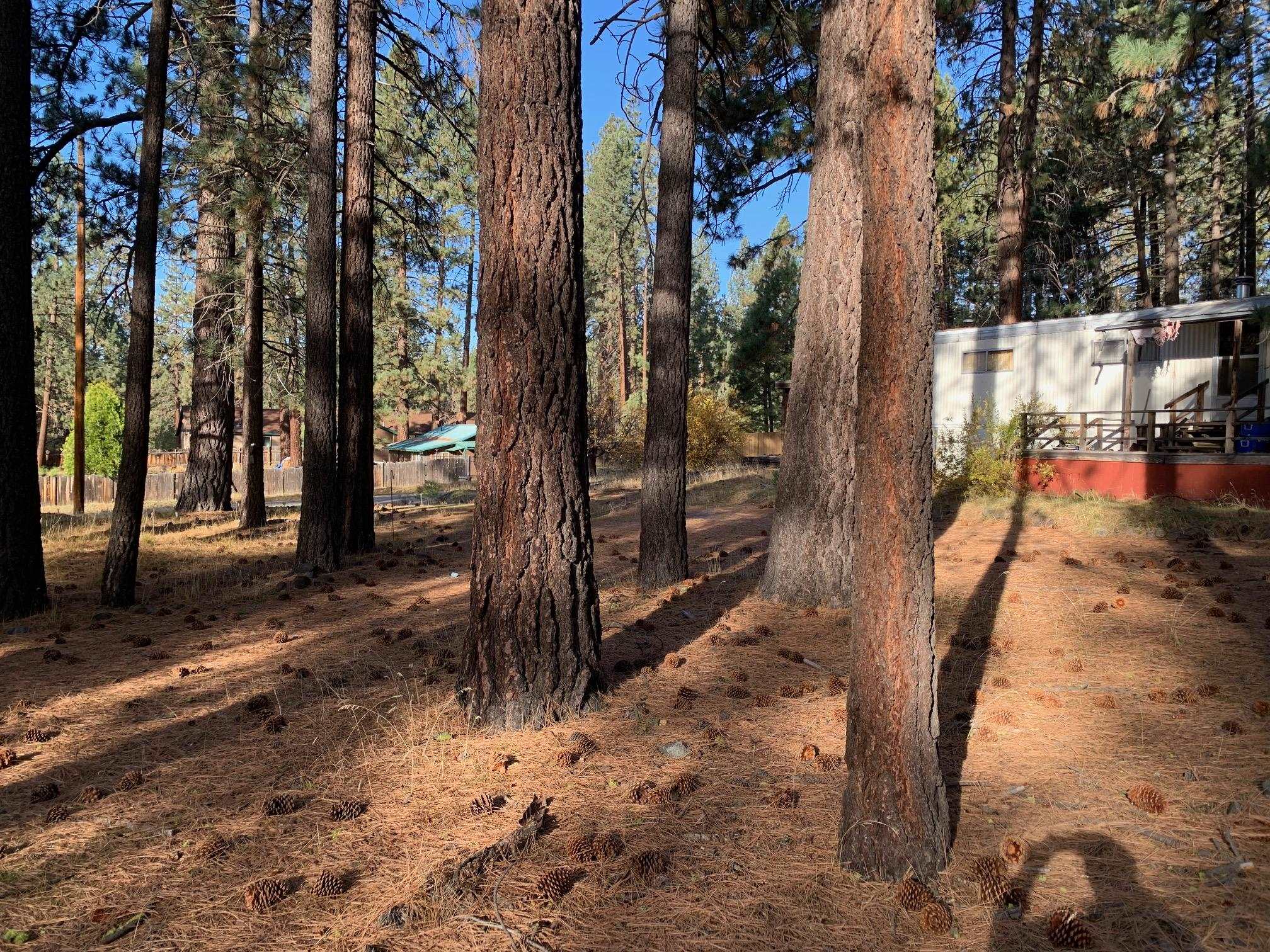 76709 Rocky Point Road