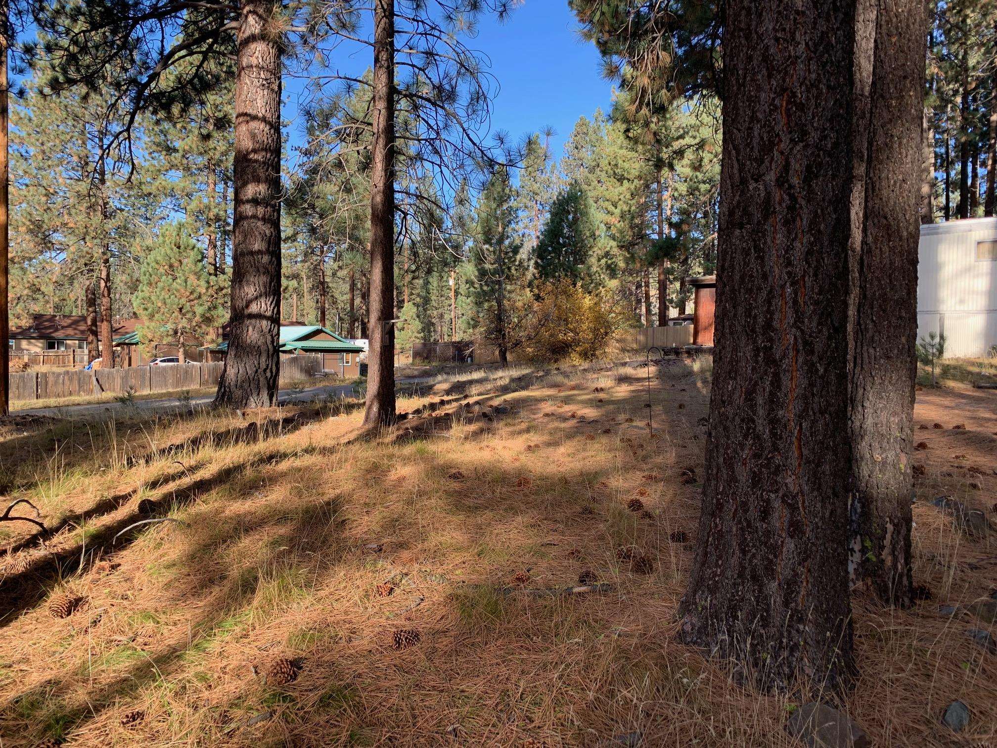76709 Rocky Point Road