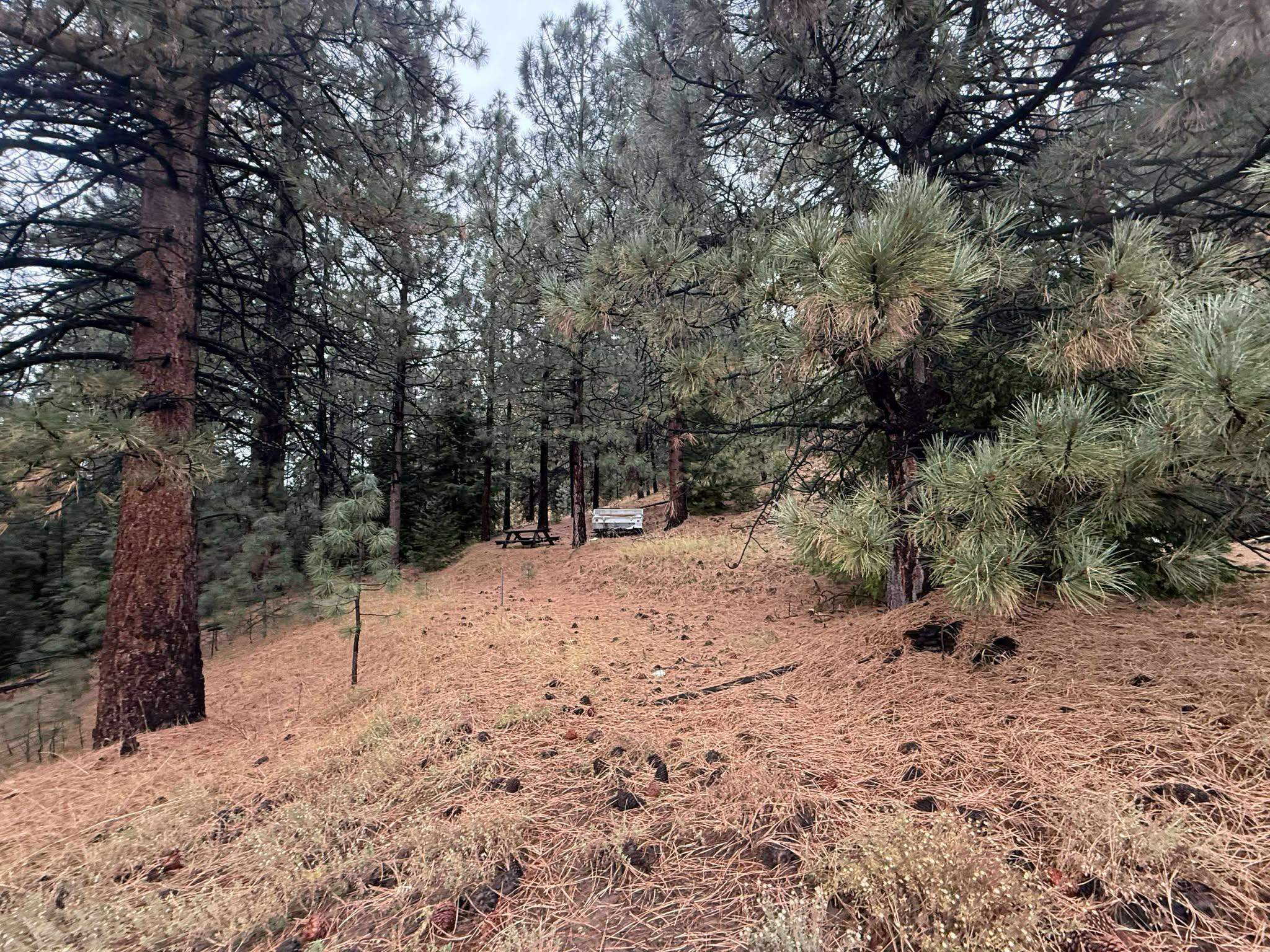 1785 Grizzly Road
