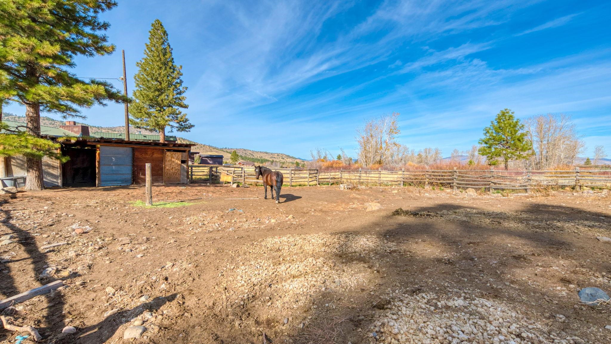 514 Longhorn Drive