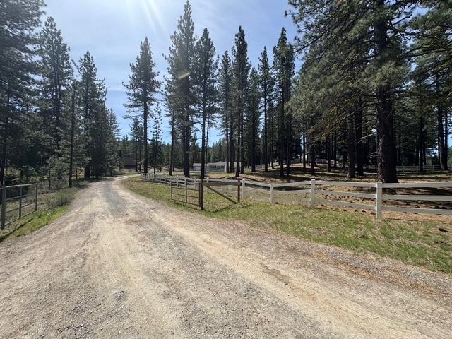 4678 Portola McLears Road A-15