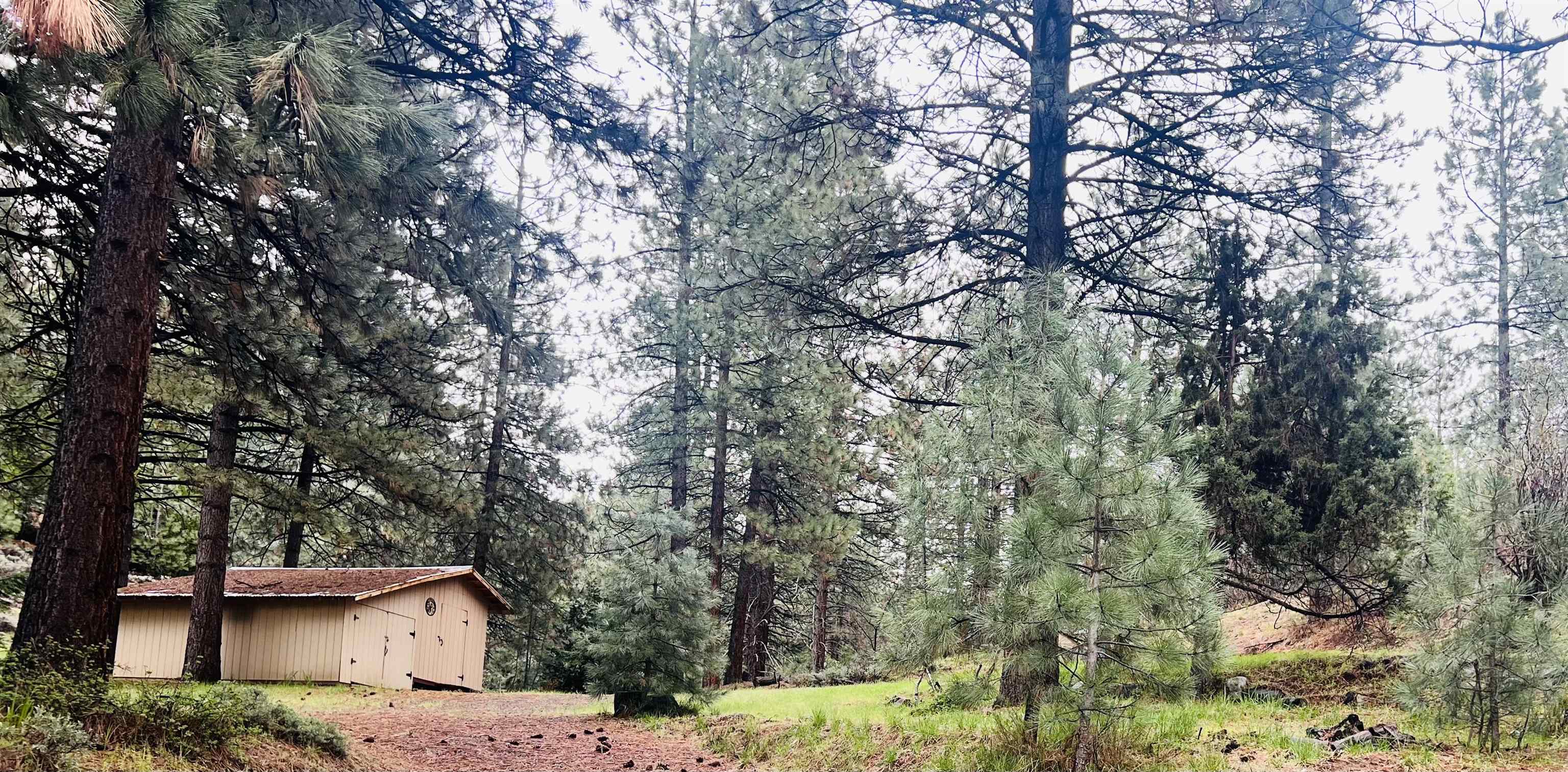 1594 Sierra Court