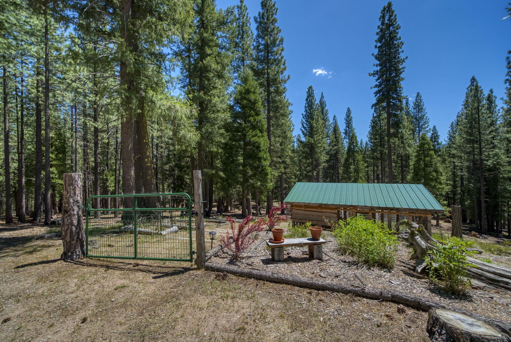 1301 Ringtail Court