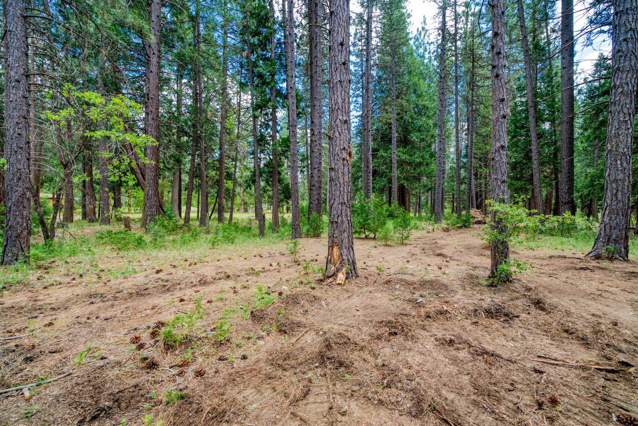58374 Gill Ranch Road