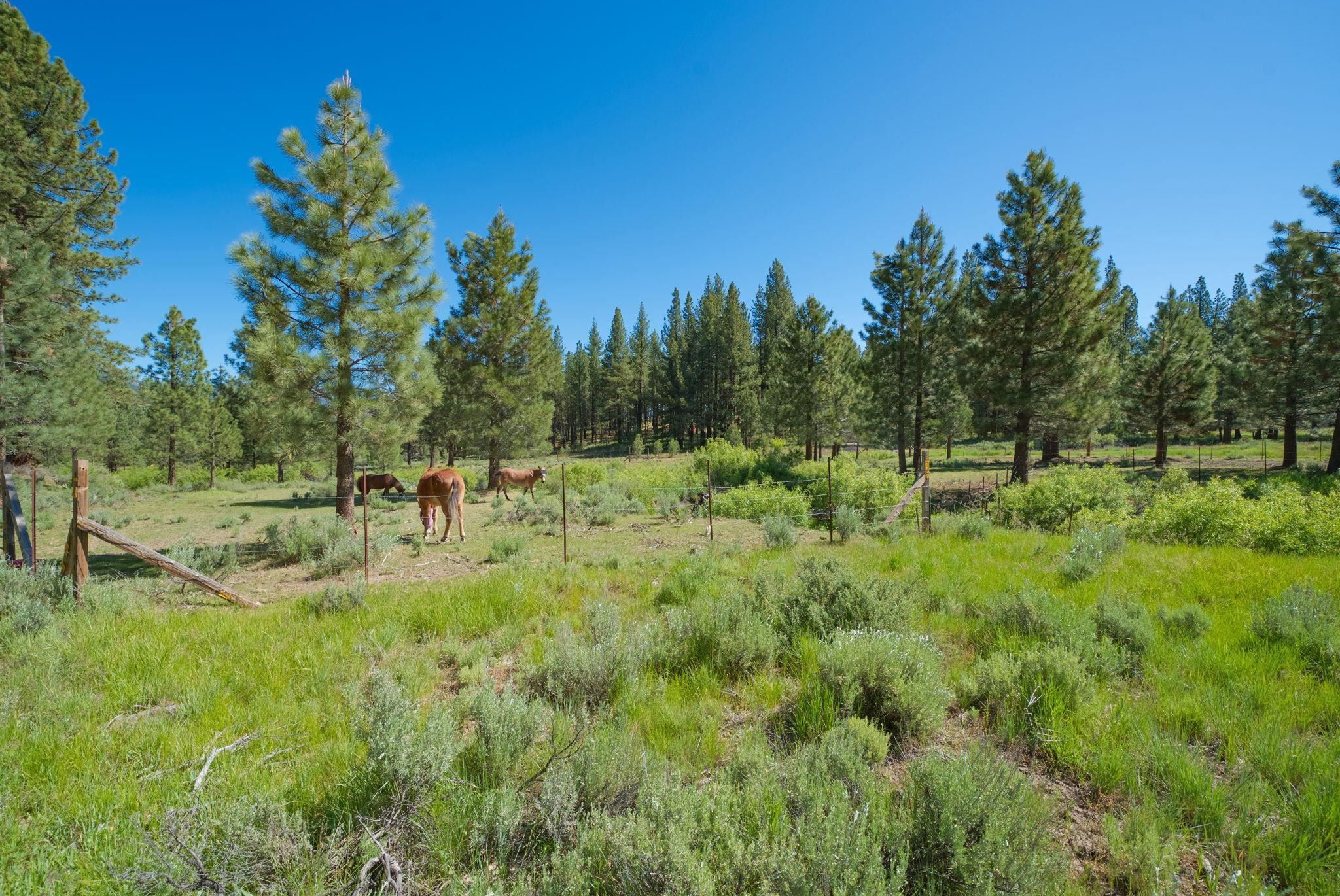 6117 Crackerjack Creek Road