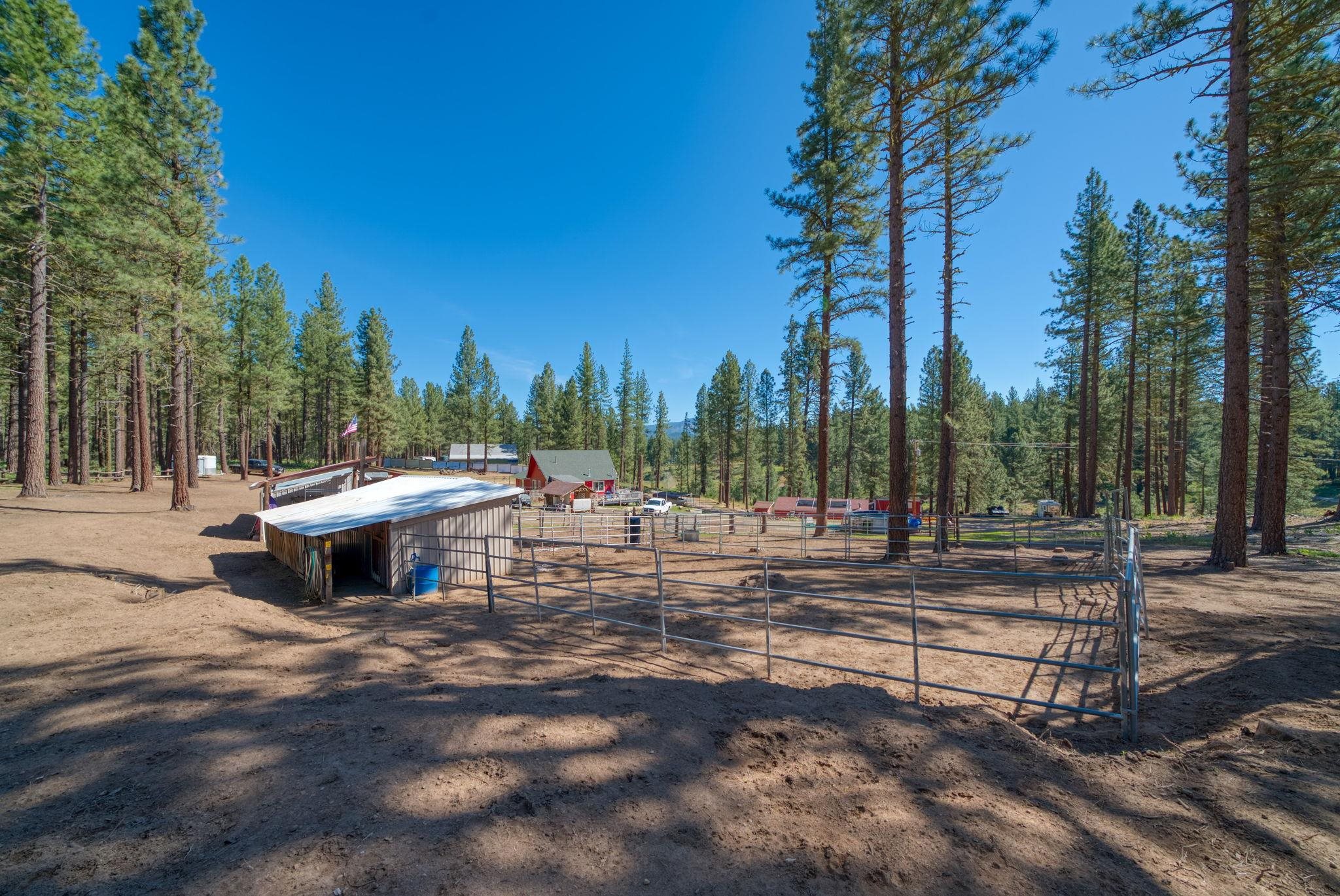 6117 Crackerjack Creek Road