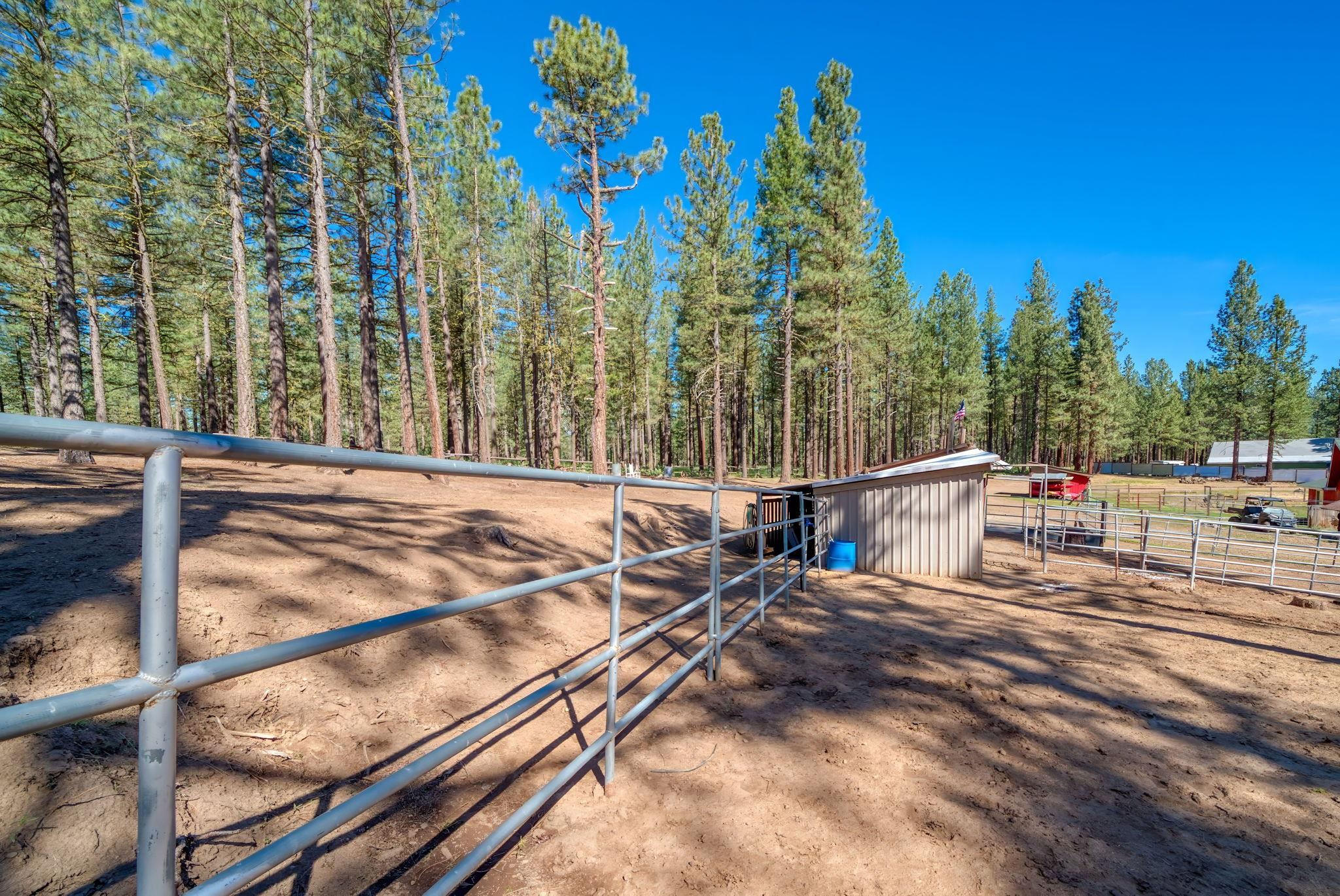 6117 Crackerjack Creek Road