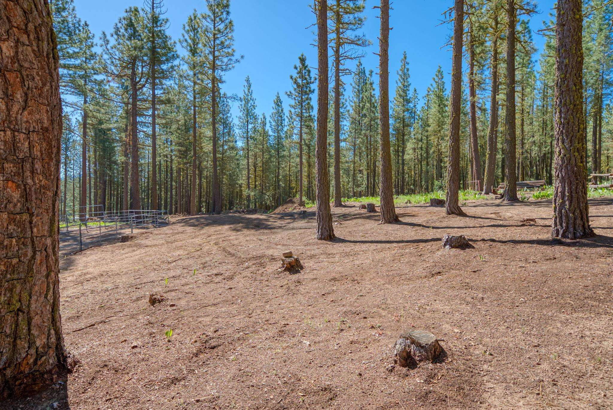 6117 Crackerjack Creek Road
