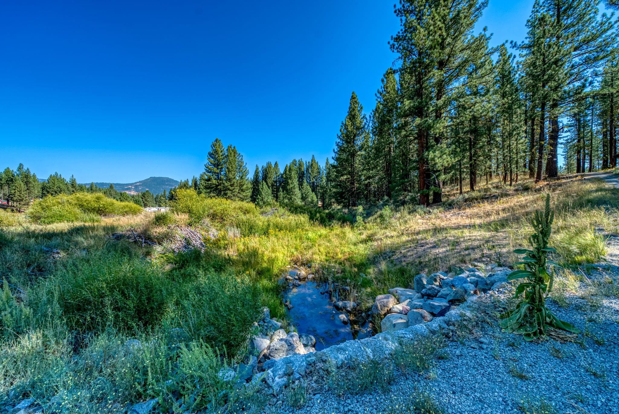 6062 Iron Horse Drive