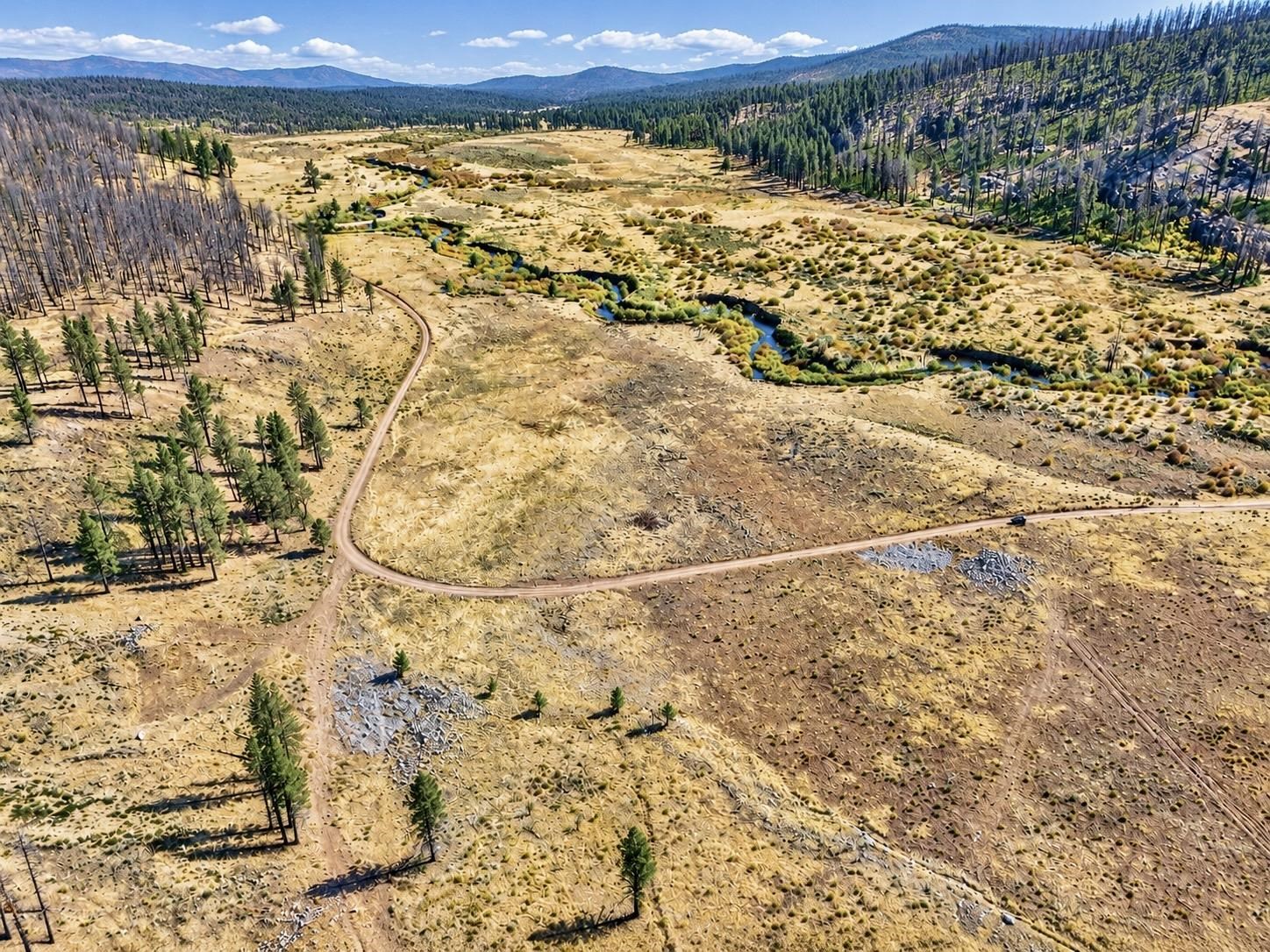 1334 Carmen Road
