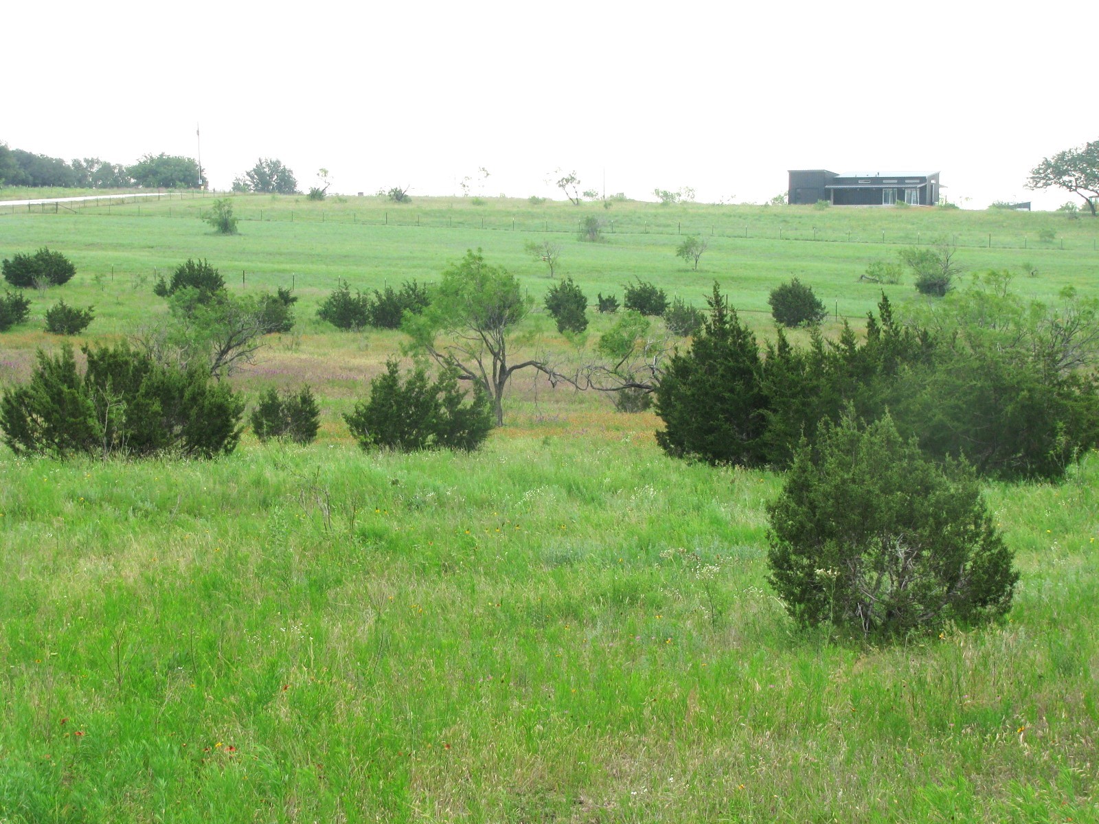 Lot N31 PR 2902