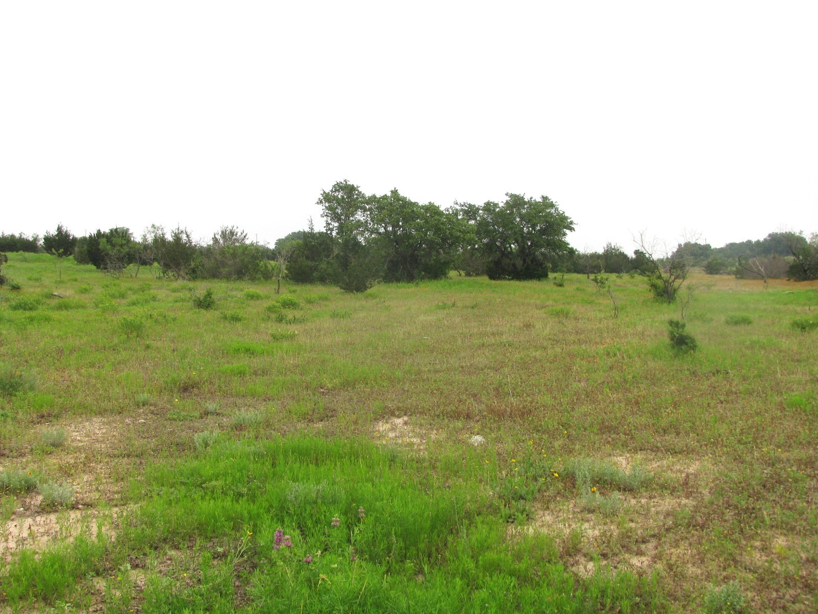 Lot N31 PR 2902