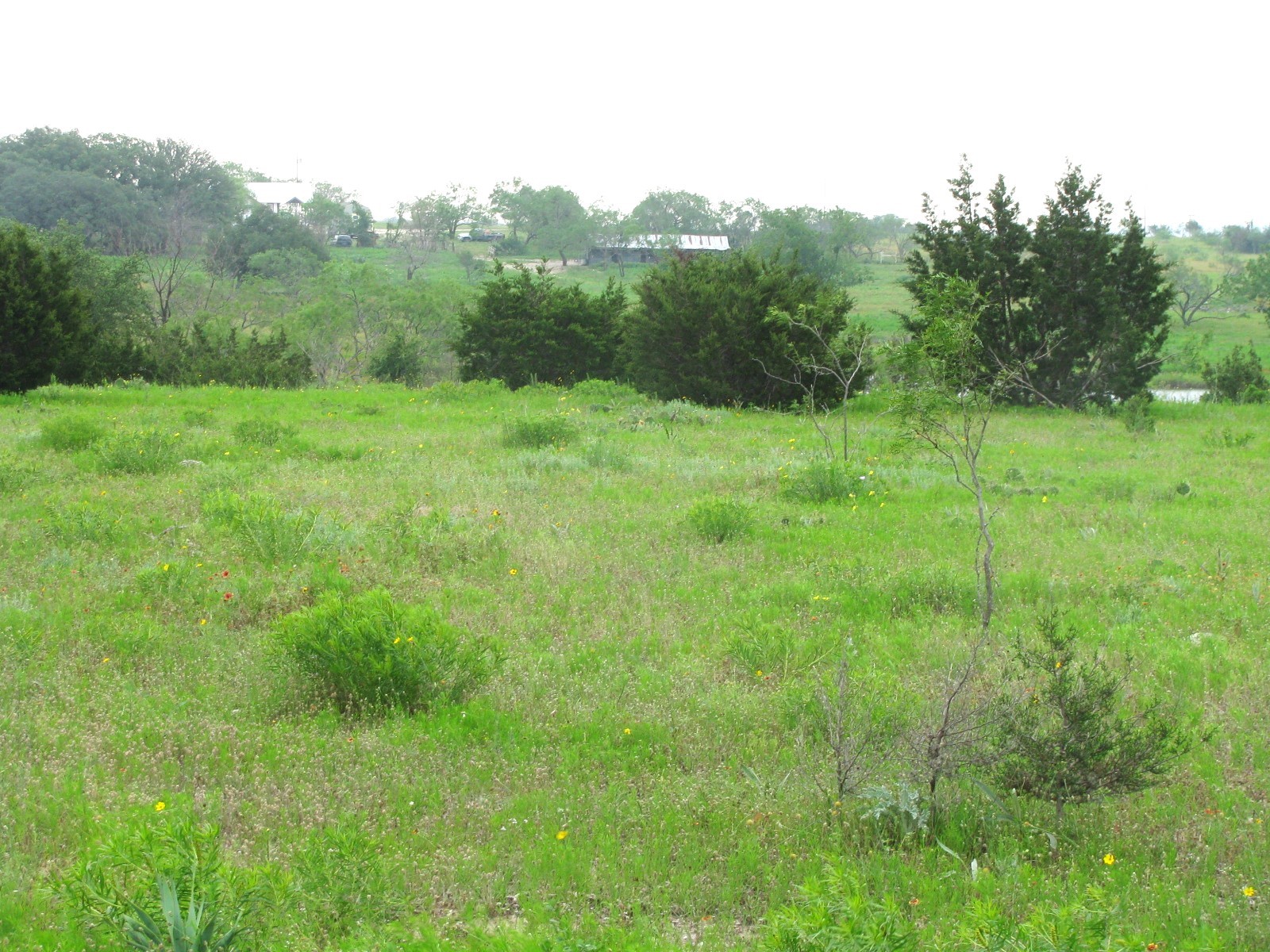 Lot N31 PR 2902