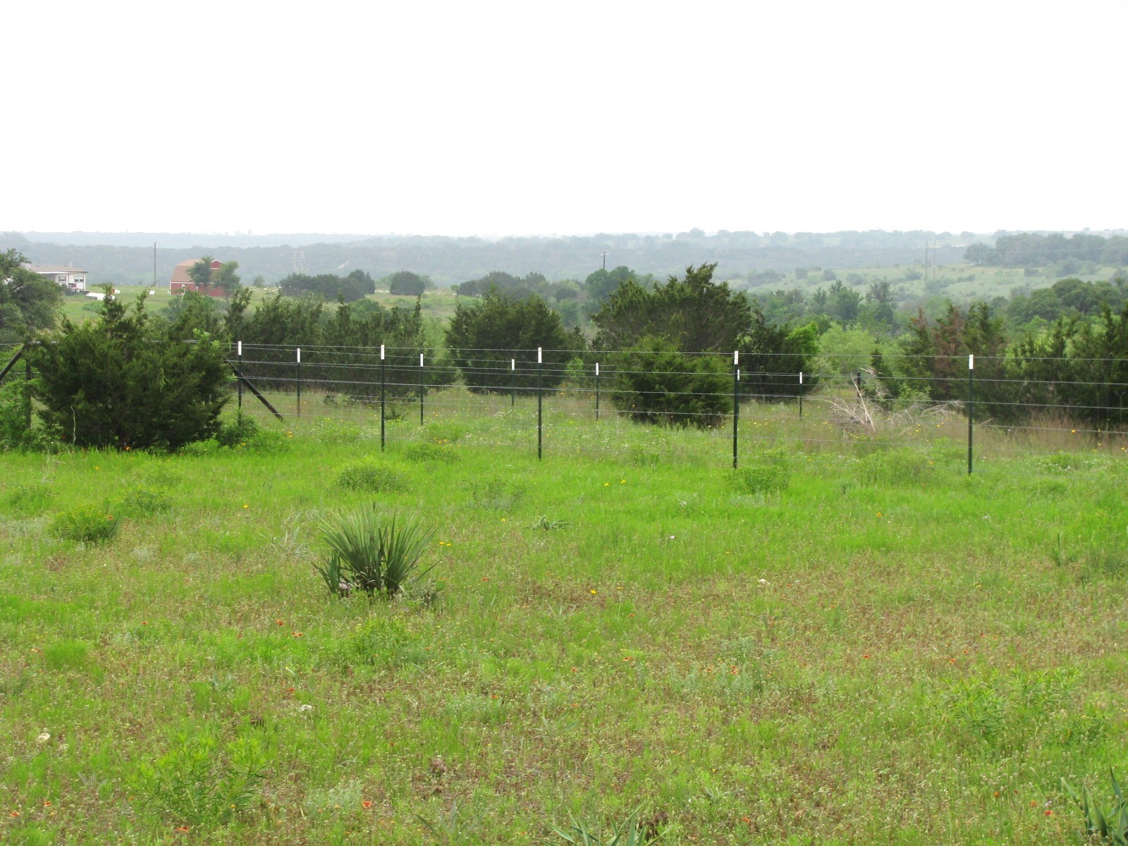 Lot N31 PR 2902