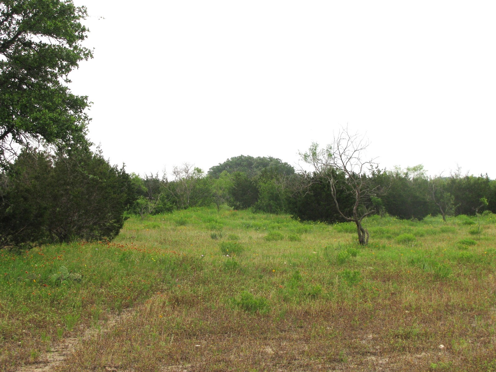 Lot N31 PR 2902