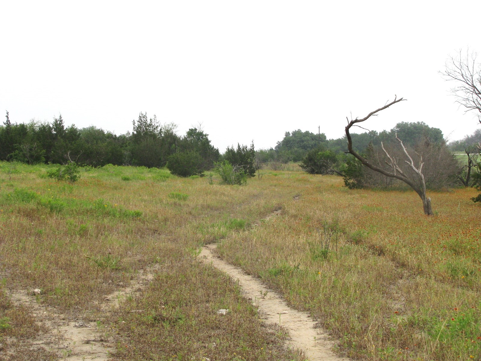 Lot N31 PR 2902